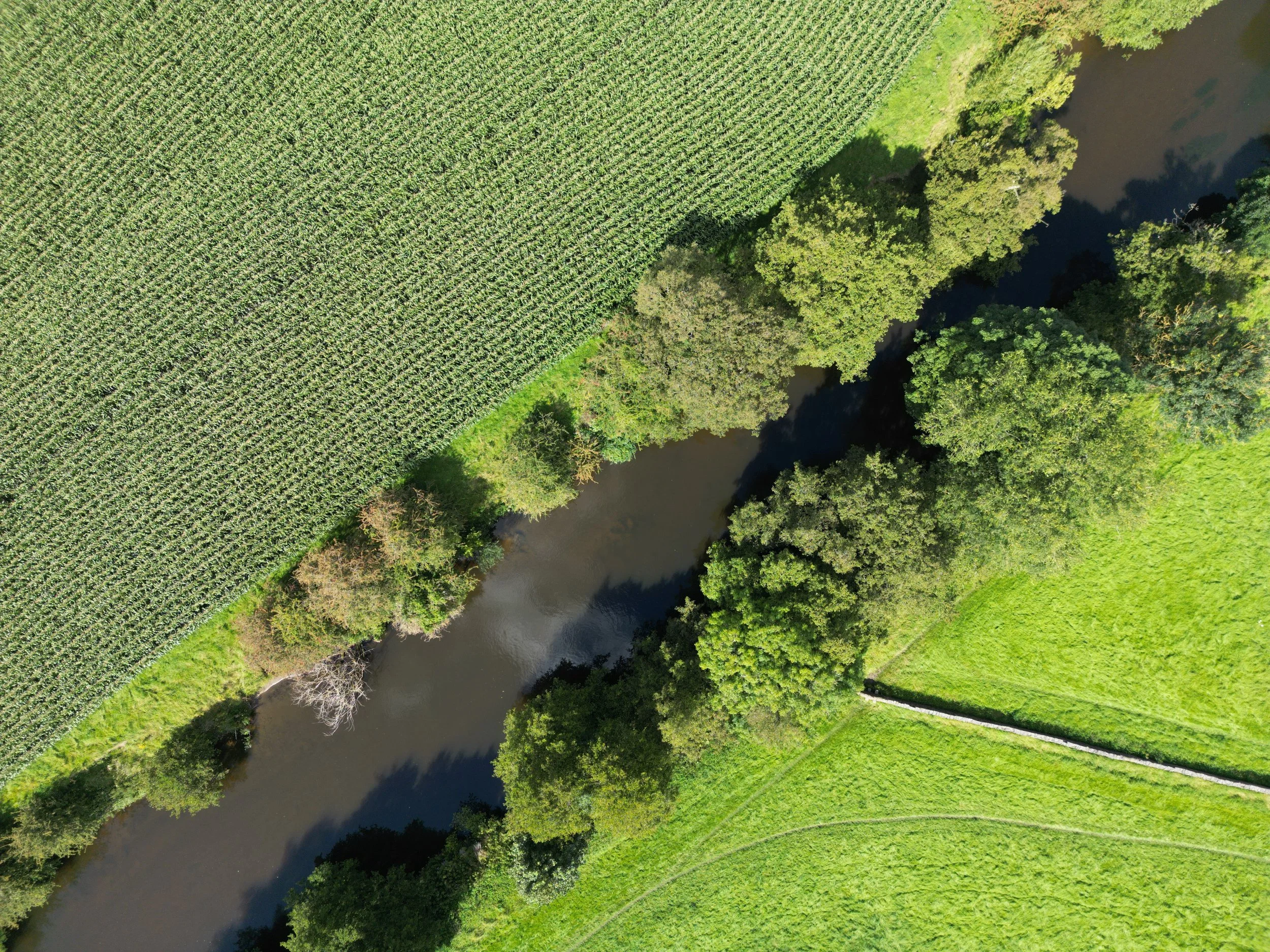 Ecosystem Asset Reporting