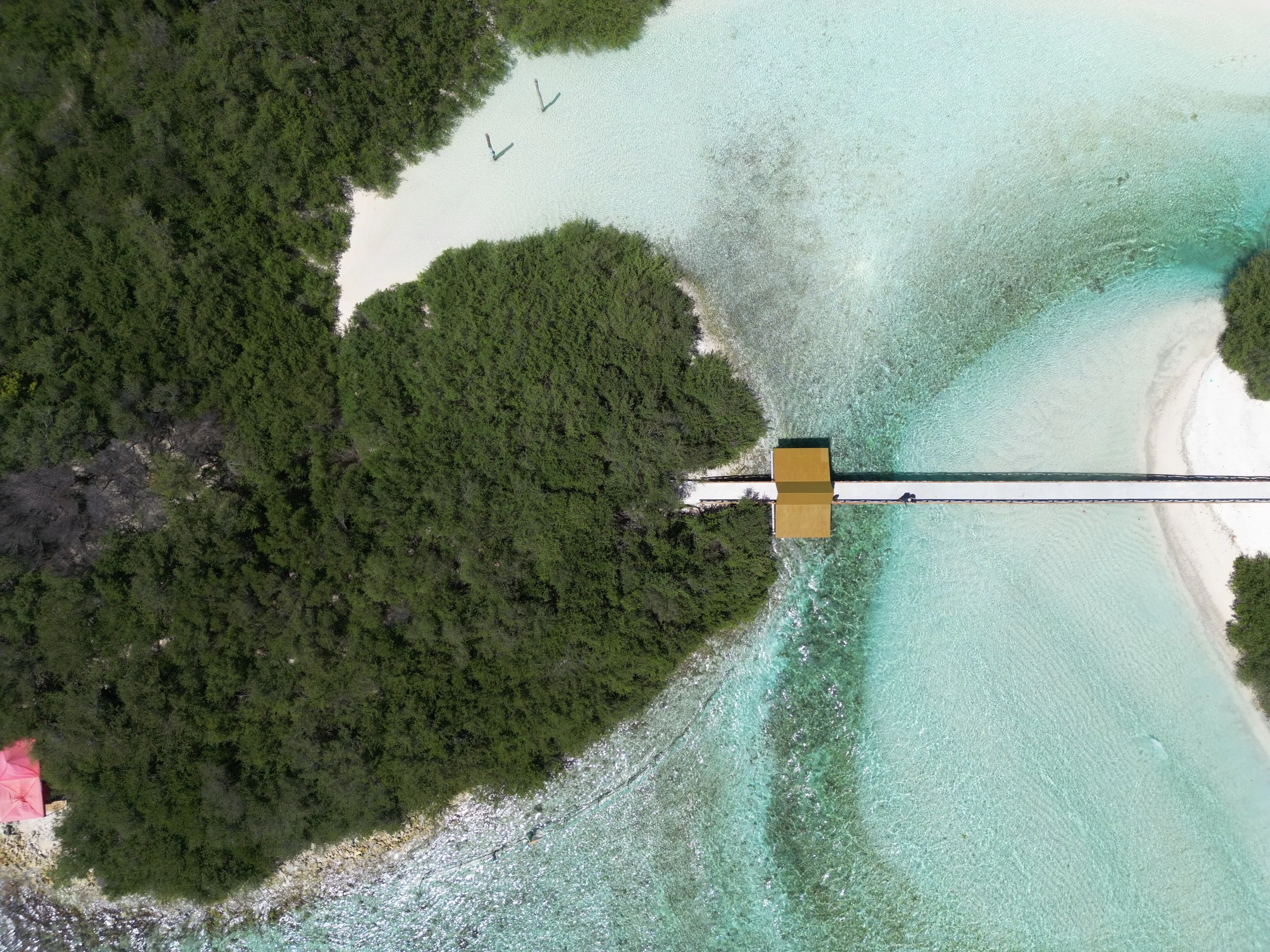 Aerial view of a small island in the Maldives with dense green trees, surrounded by turquoise water. A person walks across the bridge connecting the island to the larger island.