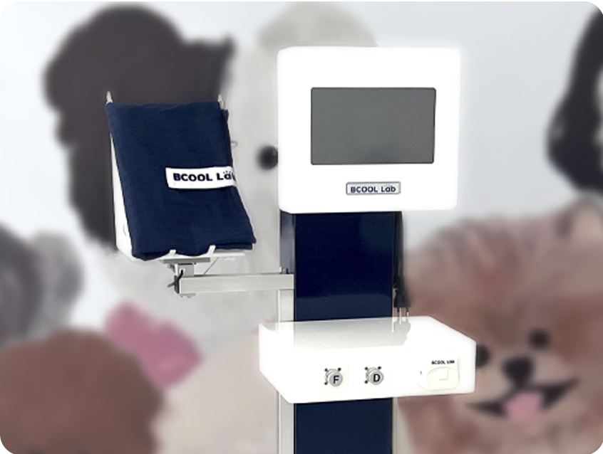 เครื่องล้างไตทางช่องท้องอัตโนมัติสำหรับสัตว์ (APD) Automated Peritoneal Dialysis Machine for Animals