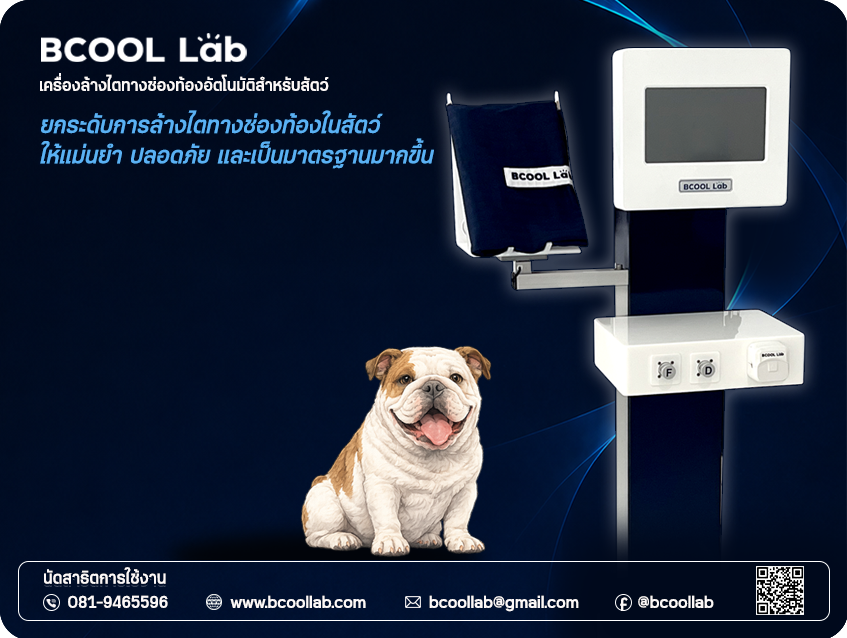 เครื่องล้างไตทางช่องท้องอัตโนมัติสำหรับสัตว์ (APD) Automated Peritoneal Dialysis Machine for Animals