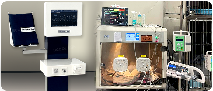 Innovative Veterinary Automated Peritoneal Dialysis (APD) System