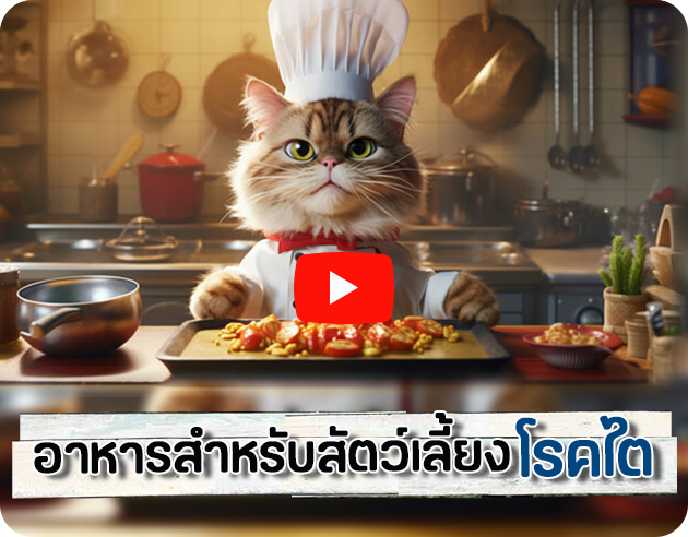 Diet for Pets with Kidney Disease