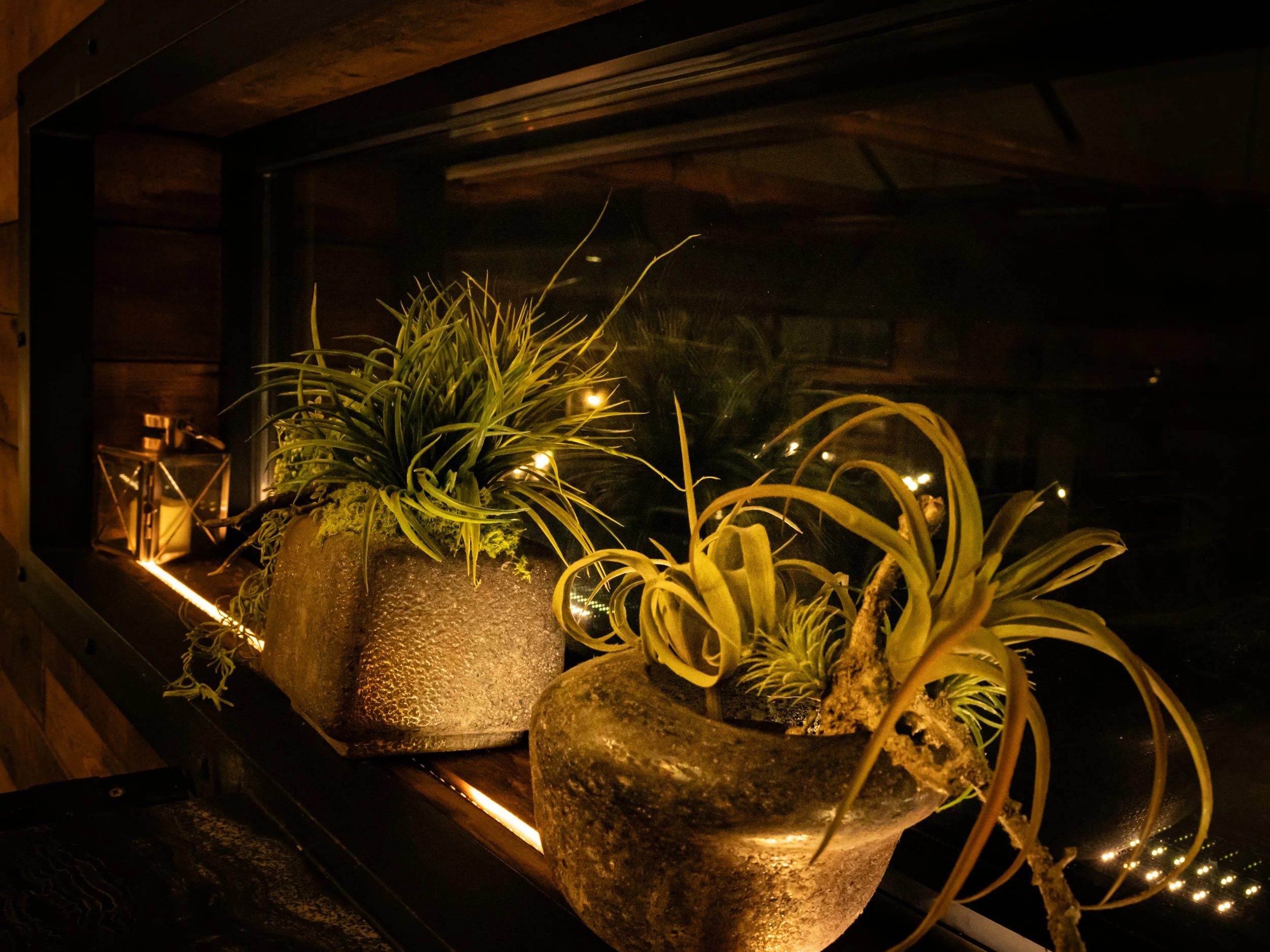 Nighttime scene of two potted plants on a shelf beside a fireplace, with decorative lanterns and reflected lights in the glass.