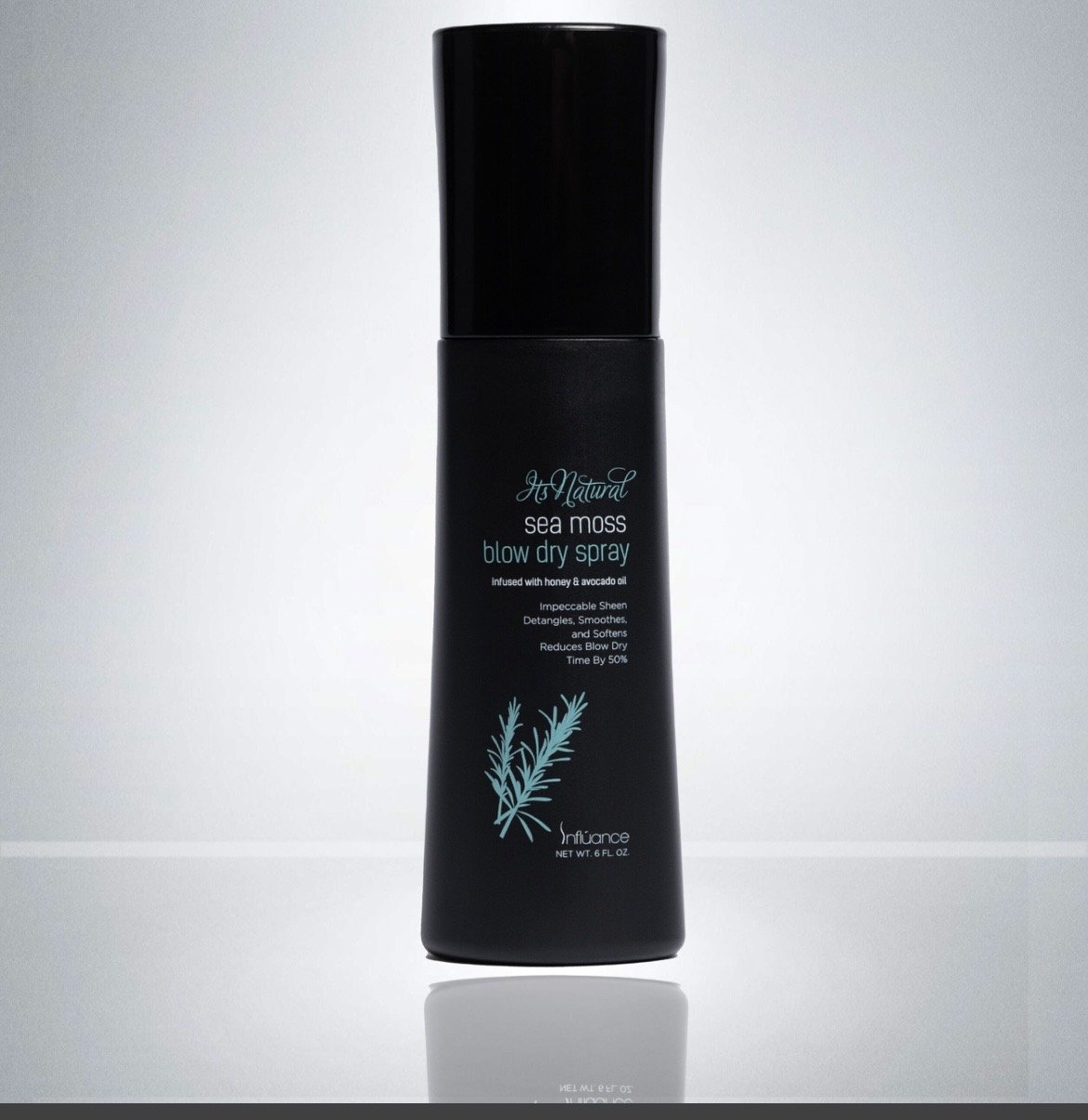 Sea Moss Blow Dry Spray .jpg