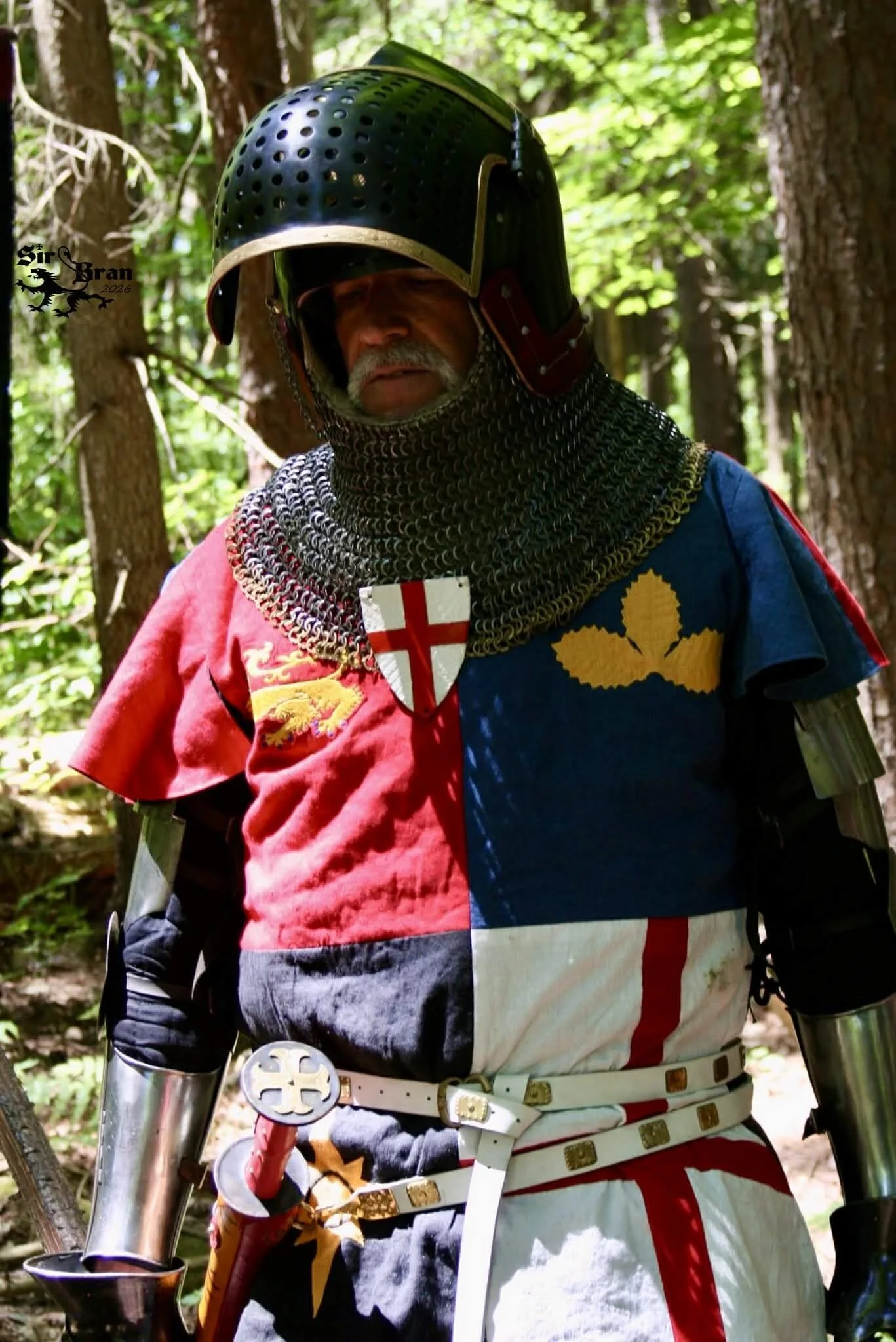 A man dressed as a medieval knight wearing chainmail, a helmet, and a tunic with a red and blue color scheme, standing in a forest.