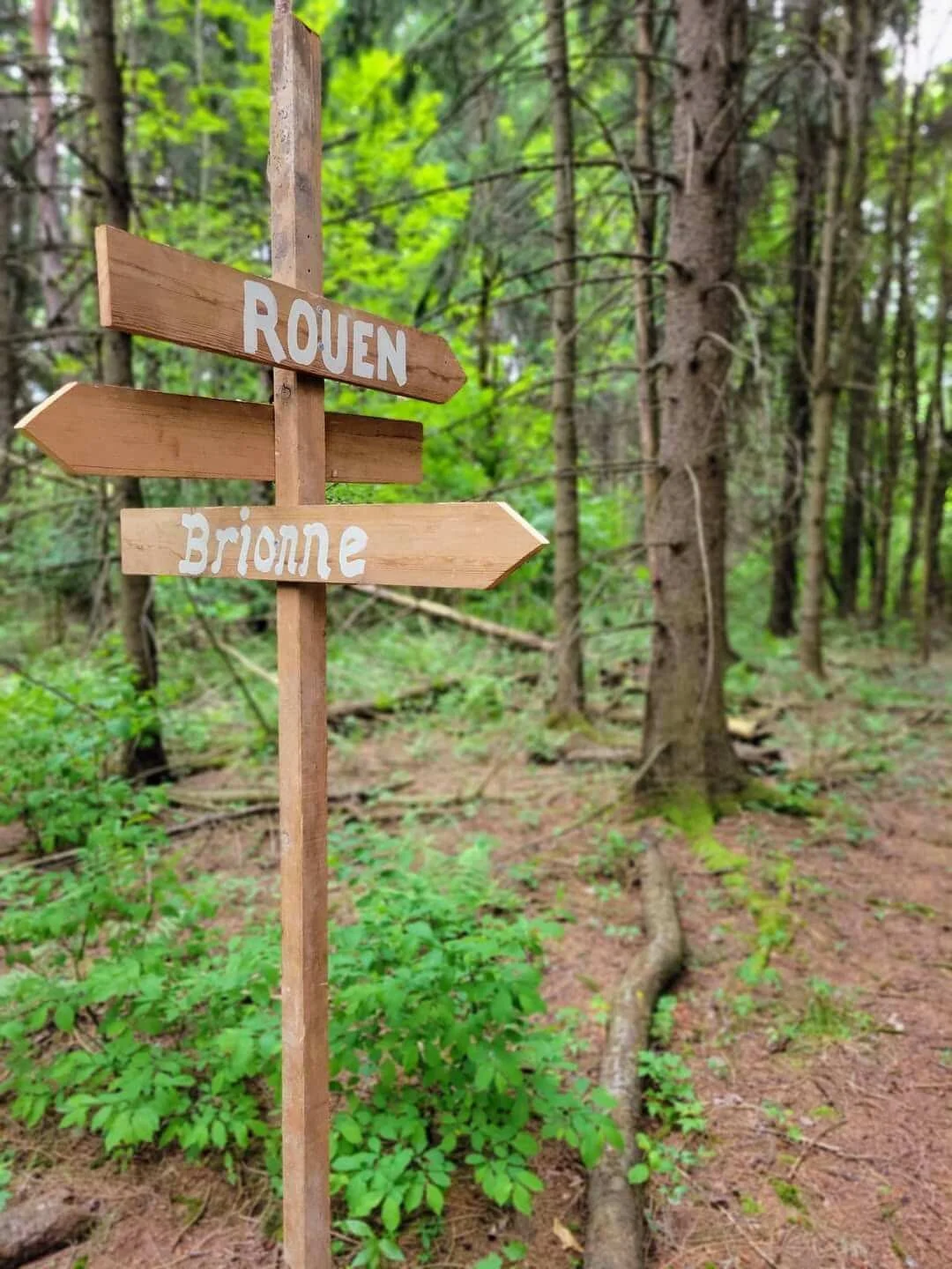 Wooden signpost with directional arrows pointing to Rouen on top and Brixonne below, situated in a green forest.
