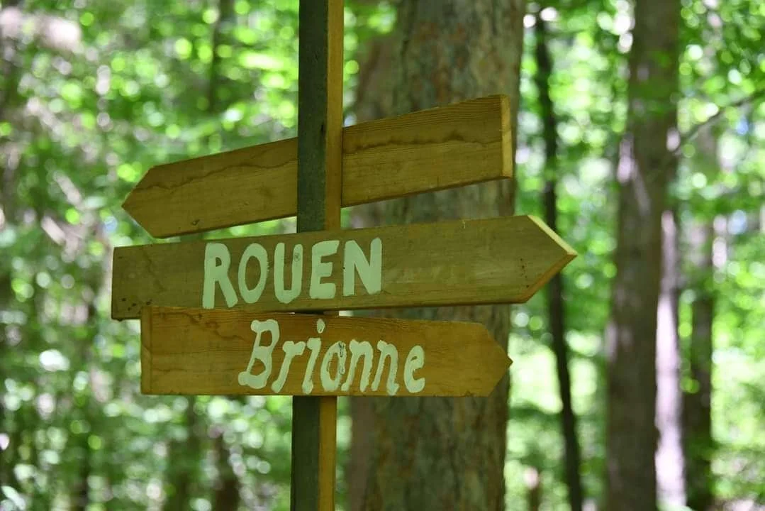 Wooden directional sign in a forest with green trees, pointing towards Rouen and Brionne.