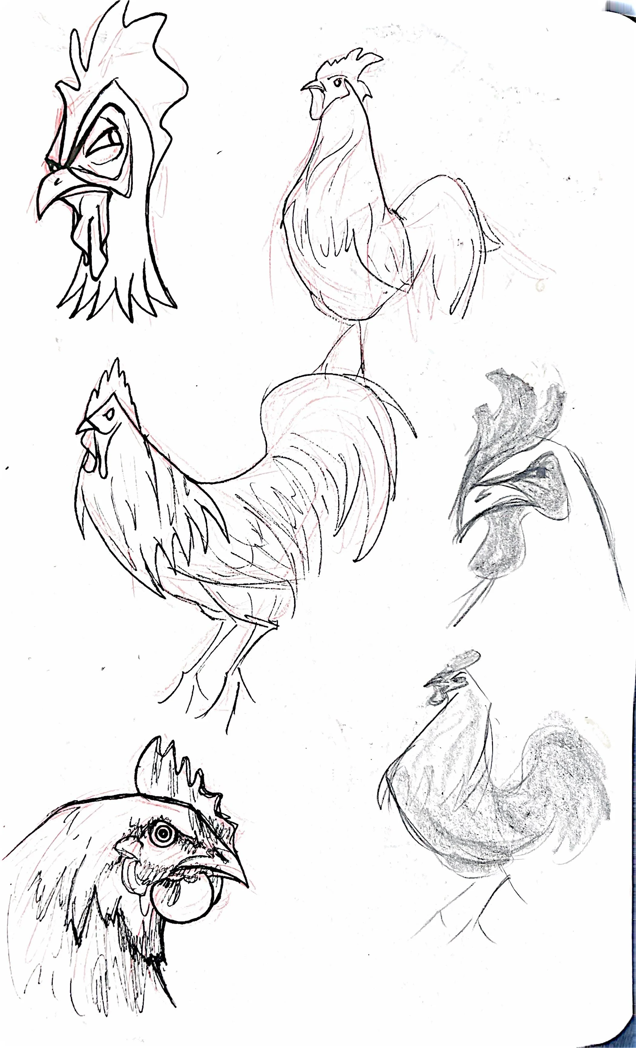 Scan Jan 5, 2026 at 1.48 PM page 1.JPG