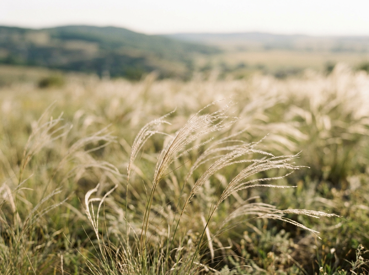 innovation, science, agriculture, environment, natural resource management, sustainability