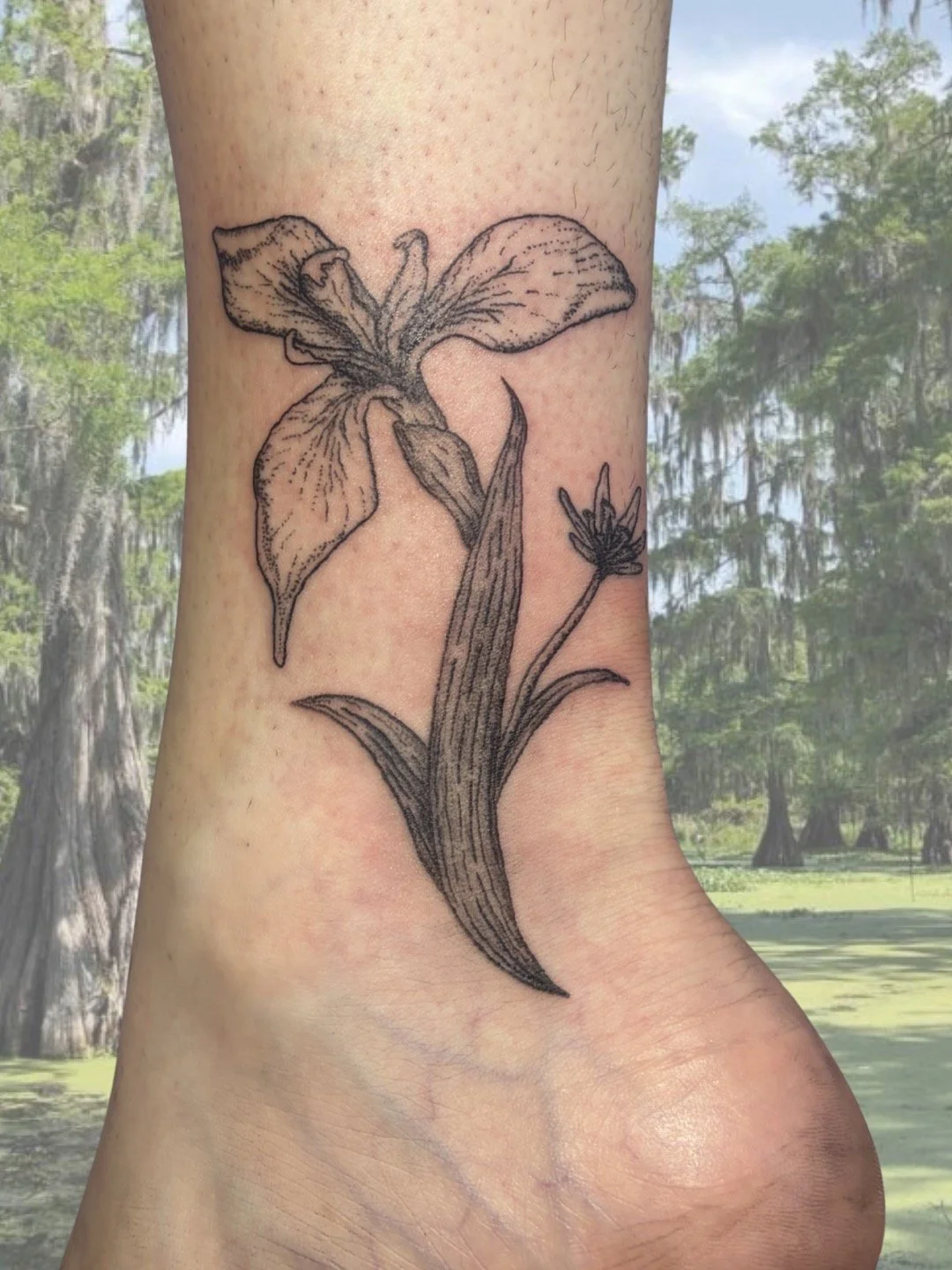 iris tat.JPEG