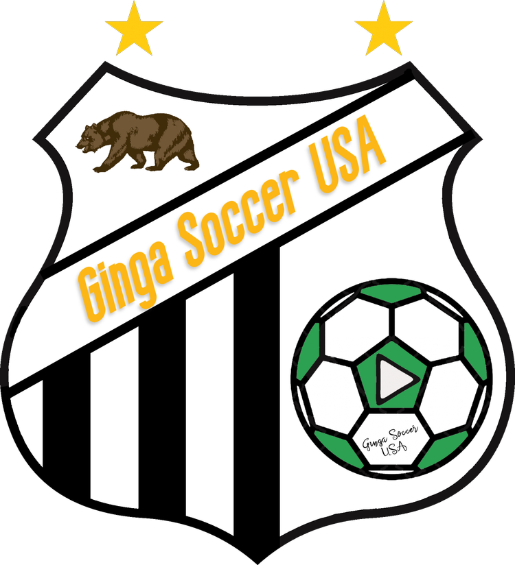 Logo+Ginga+Soccer+USA-2+3.webp