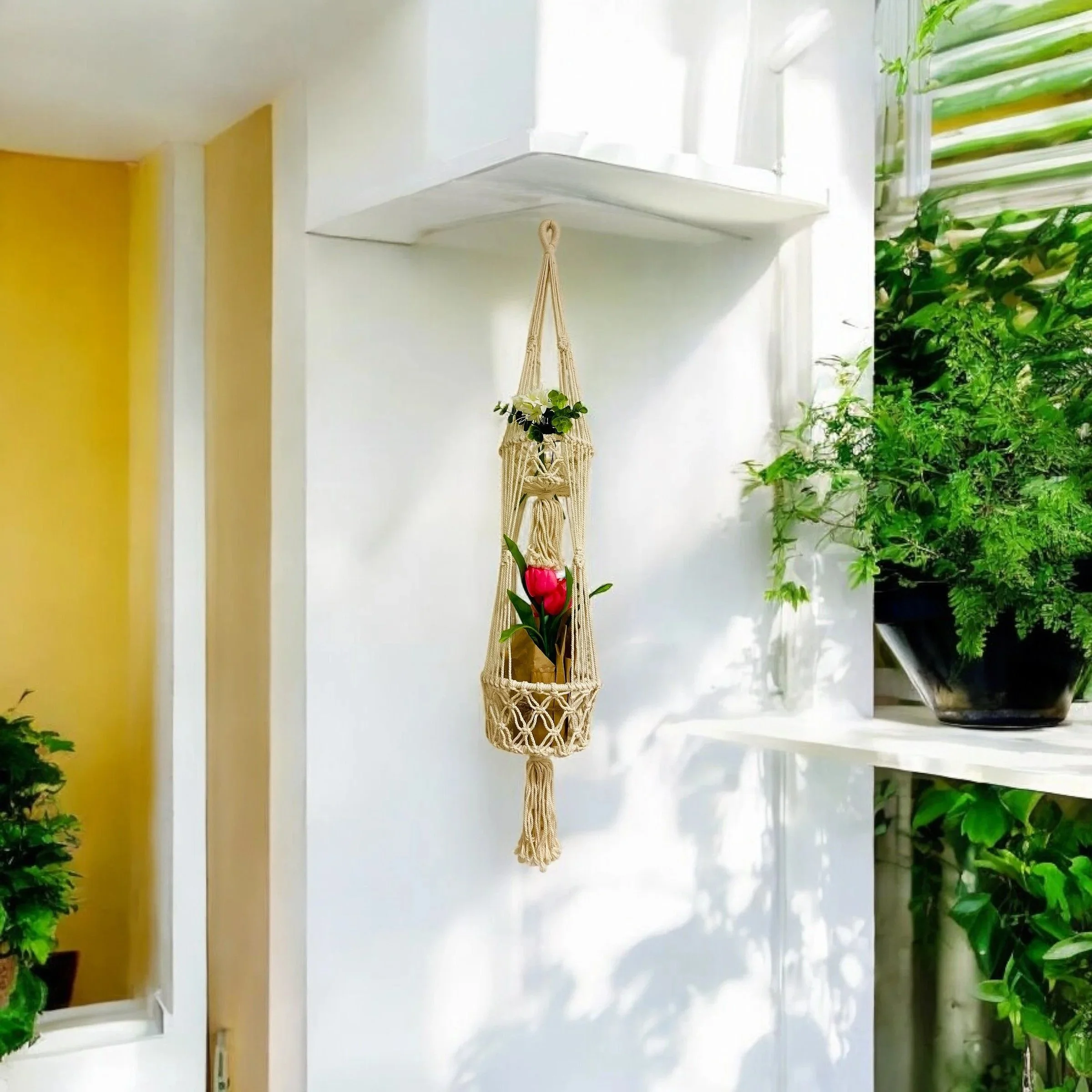 Macrame plant hanger with pink tulip plant hanging on a white wall near a window with green plants.