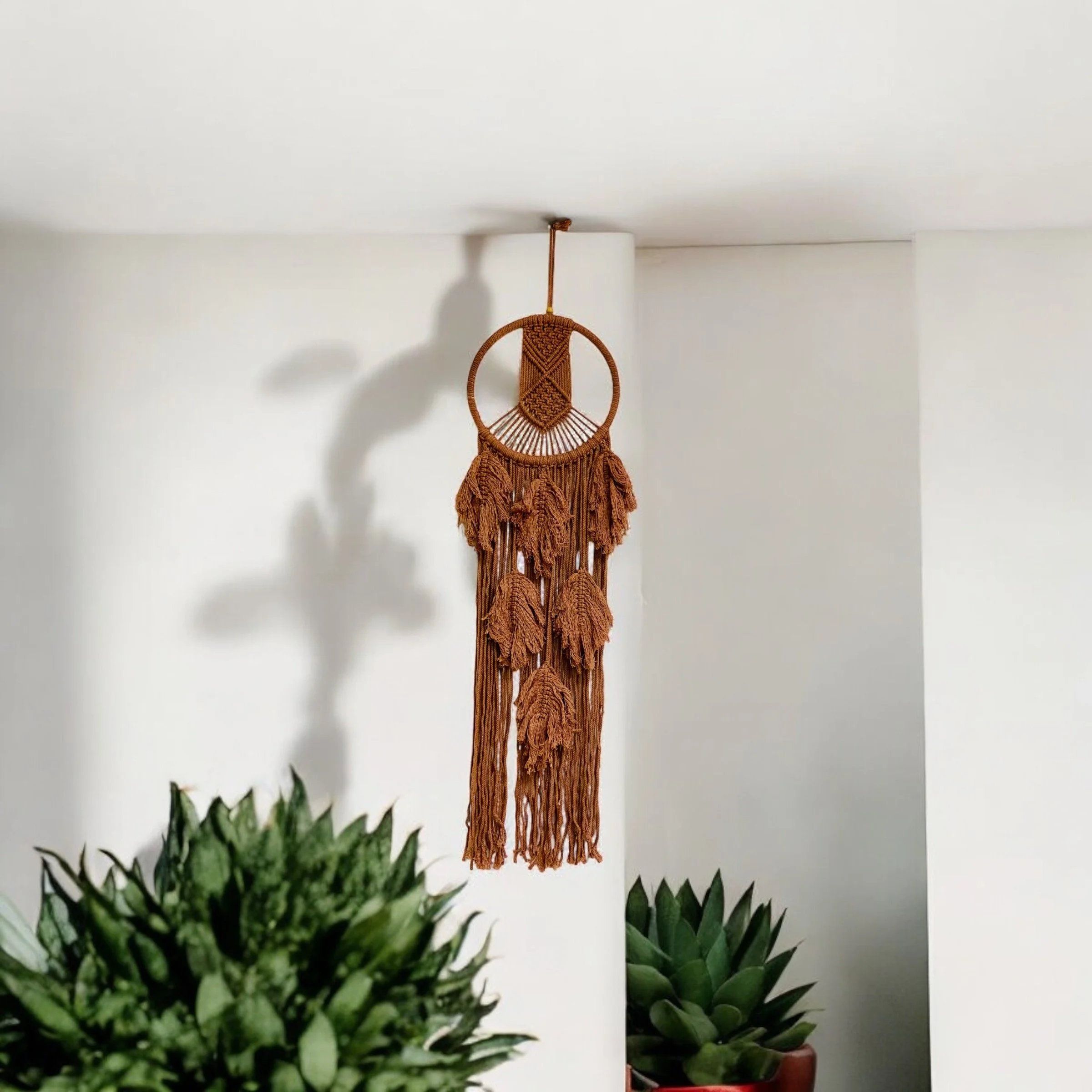 A brown macrame wall hanging with a circular top and tassels, hanging on a white wall with two potted succulents below.