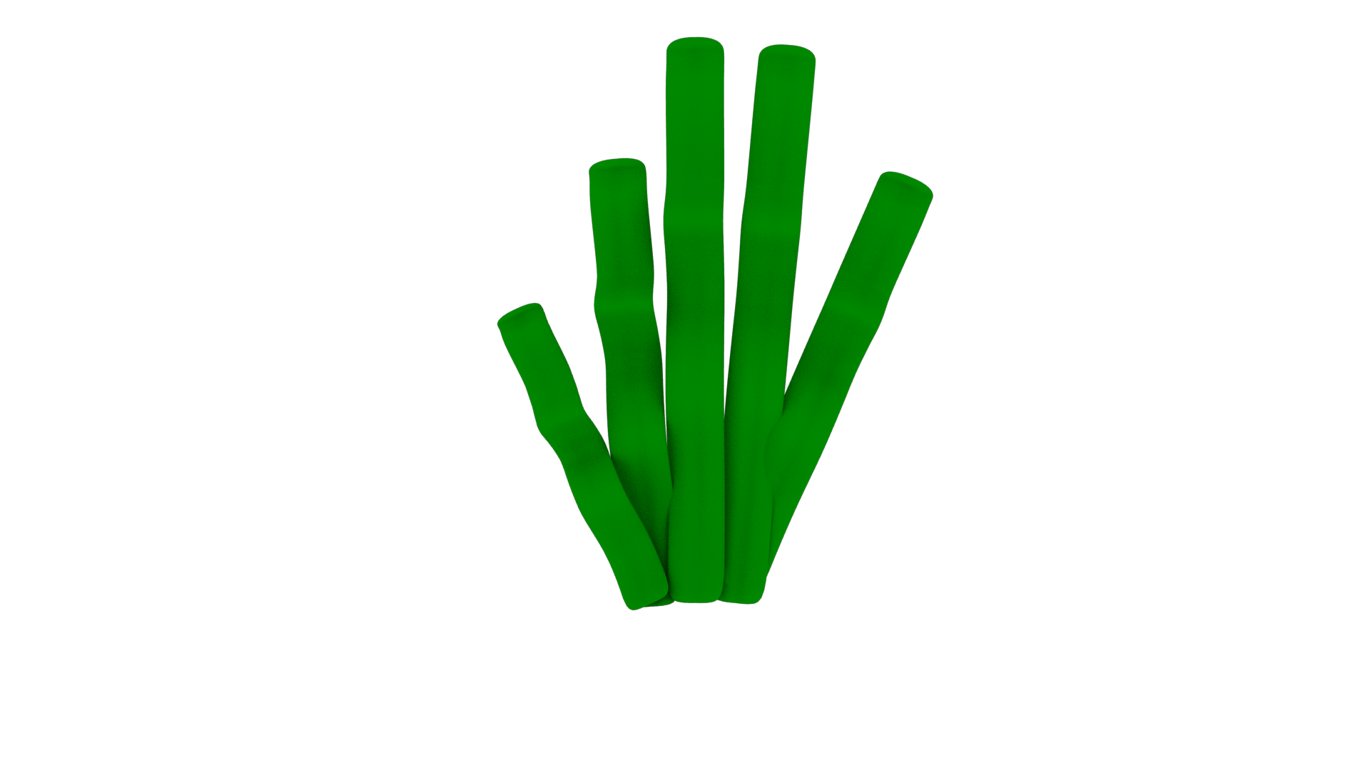 Simplified seaweed asset.png