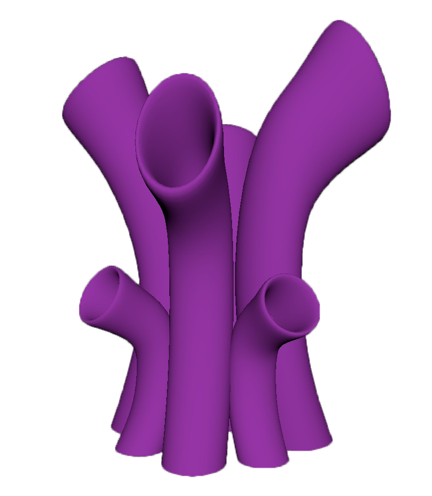 Coral asset.png