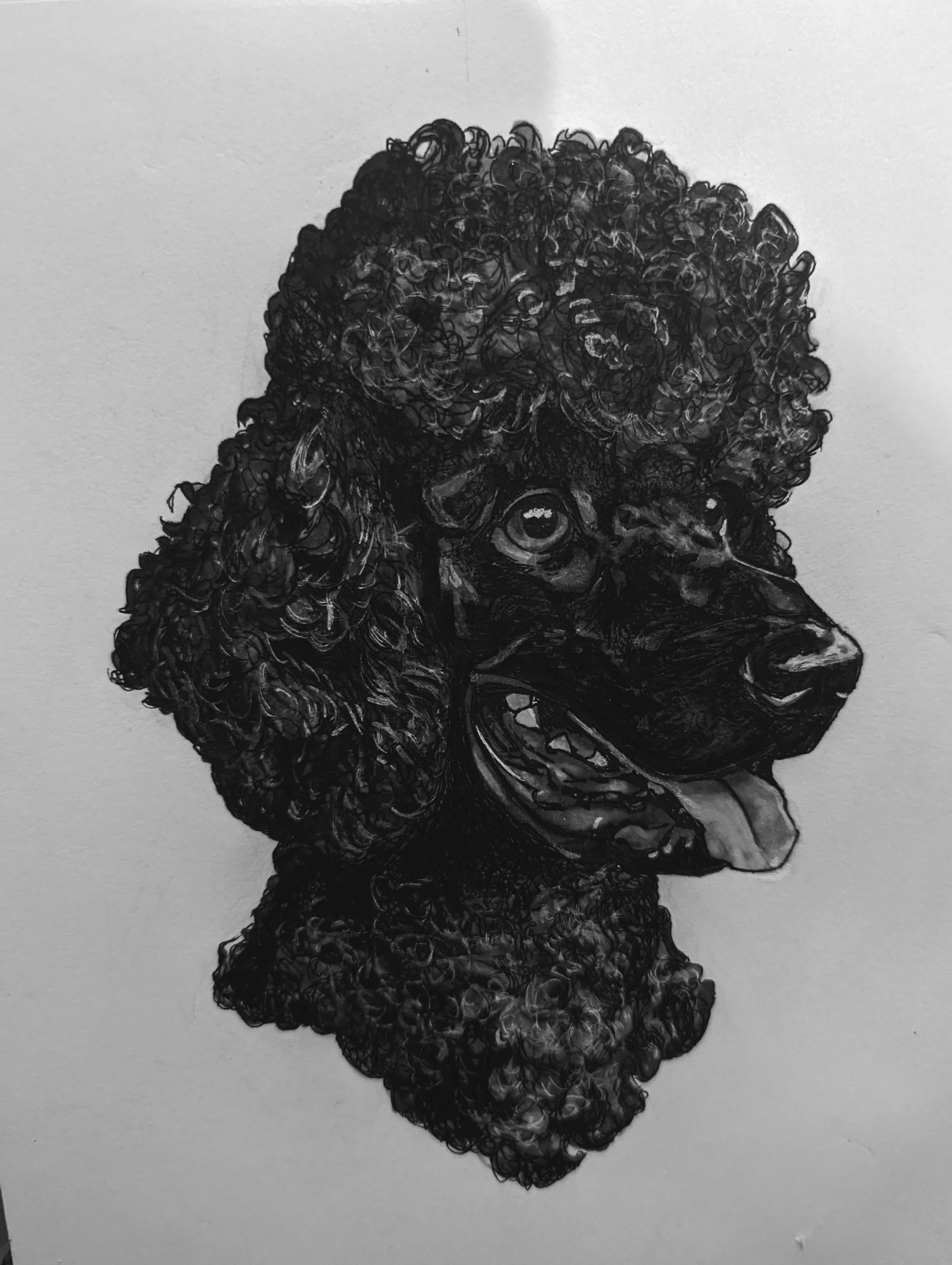 Pet Portrait- Black and White Ink