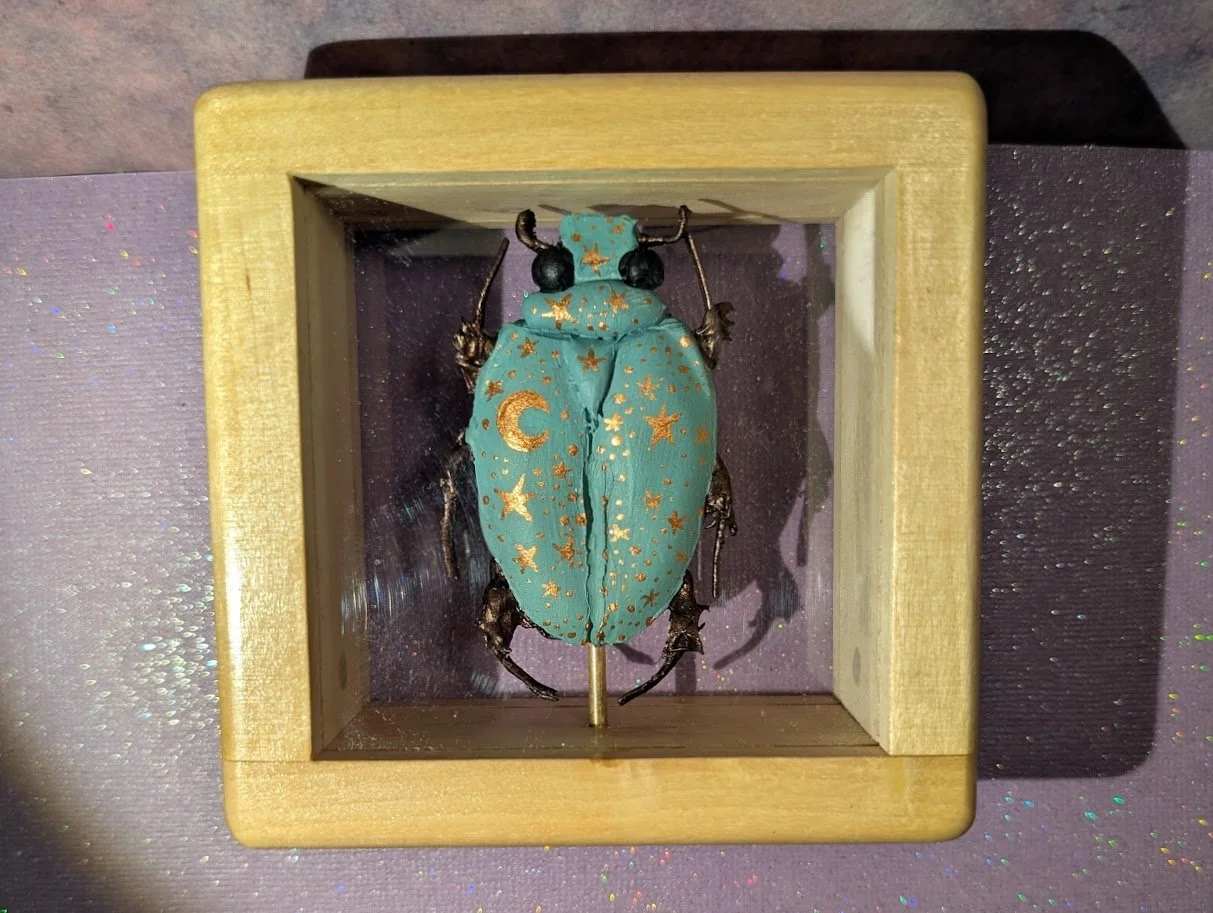 celestial beetle.jpg