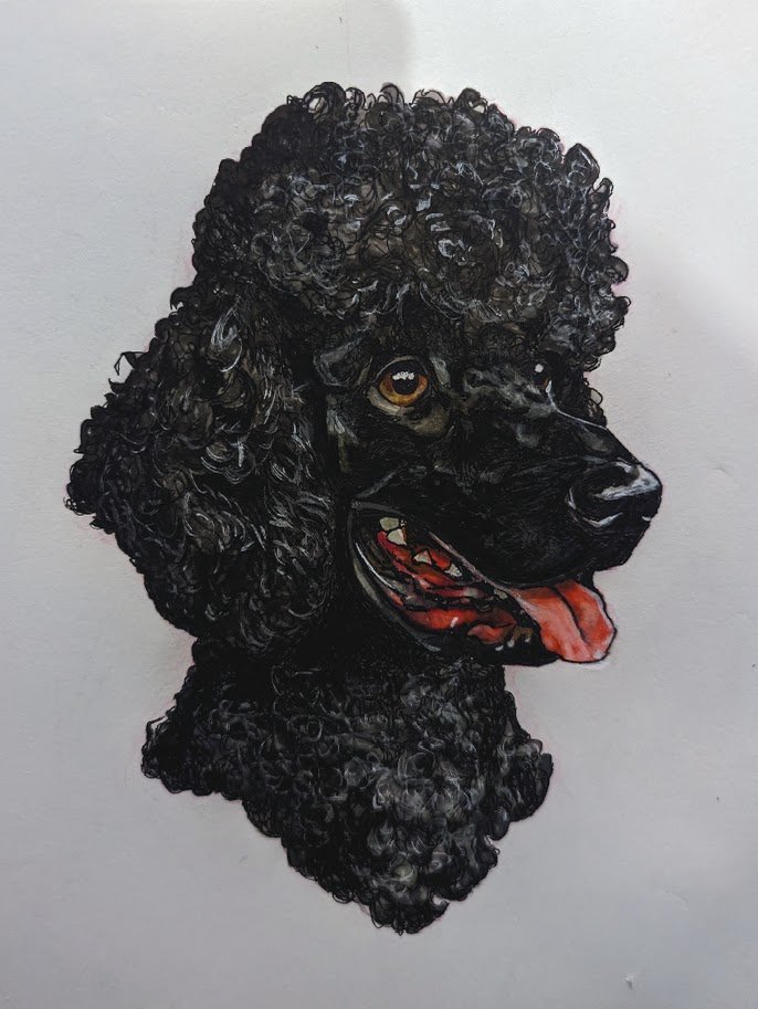 doggy commission _2.jpg