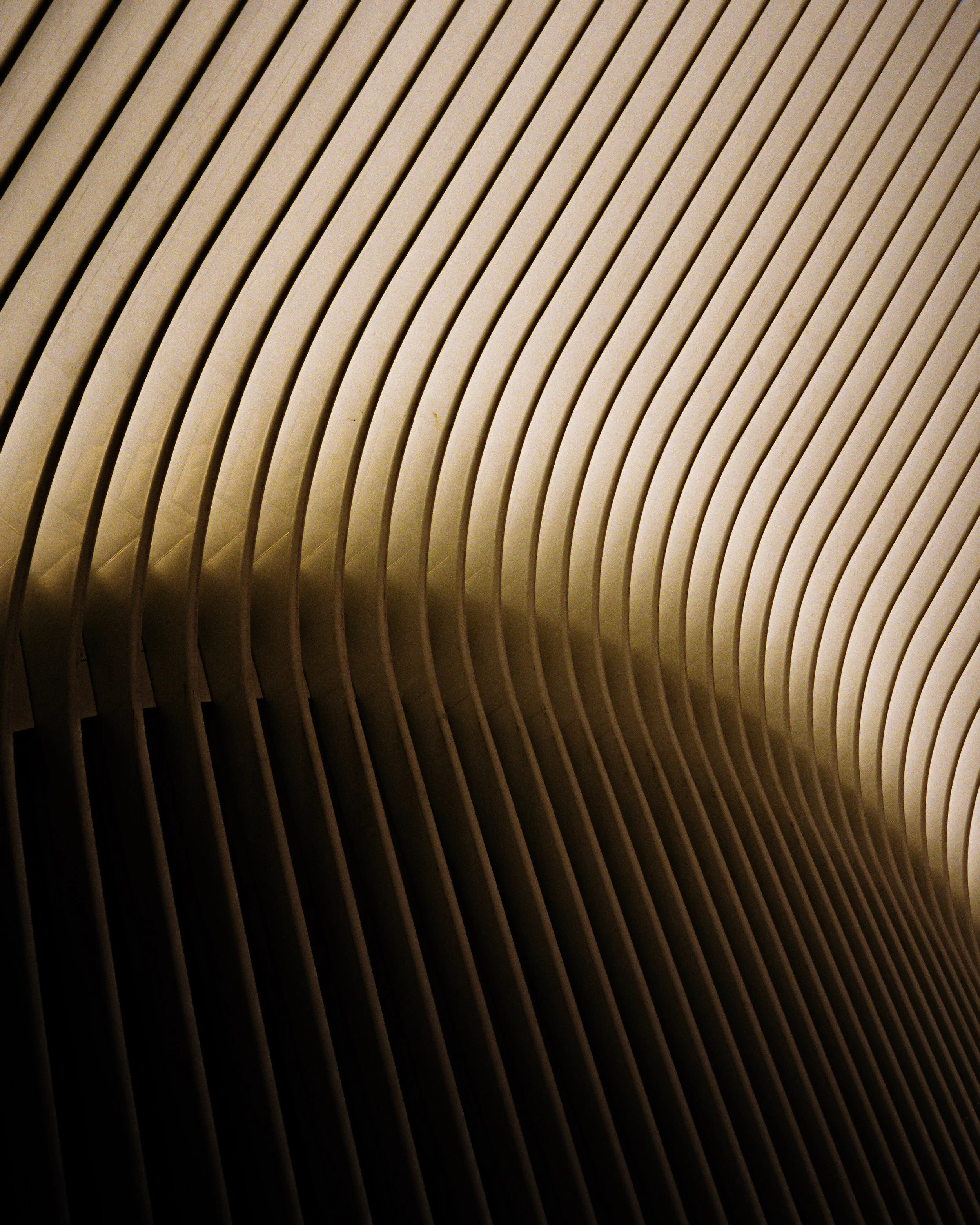 6487021656-R1-044-20A.jpg