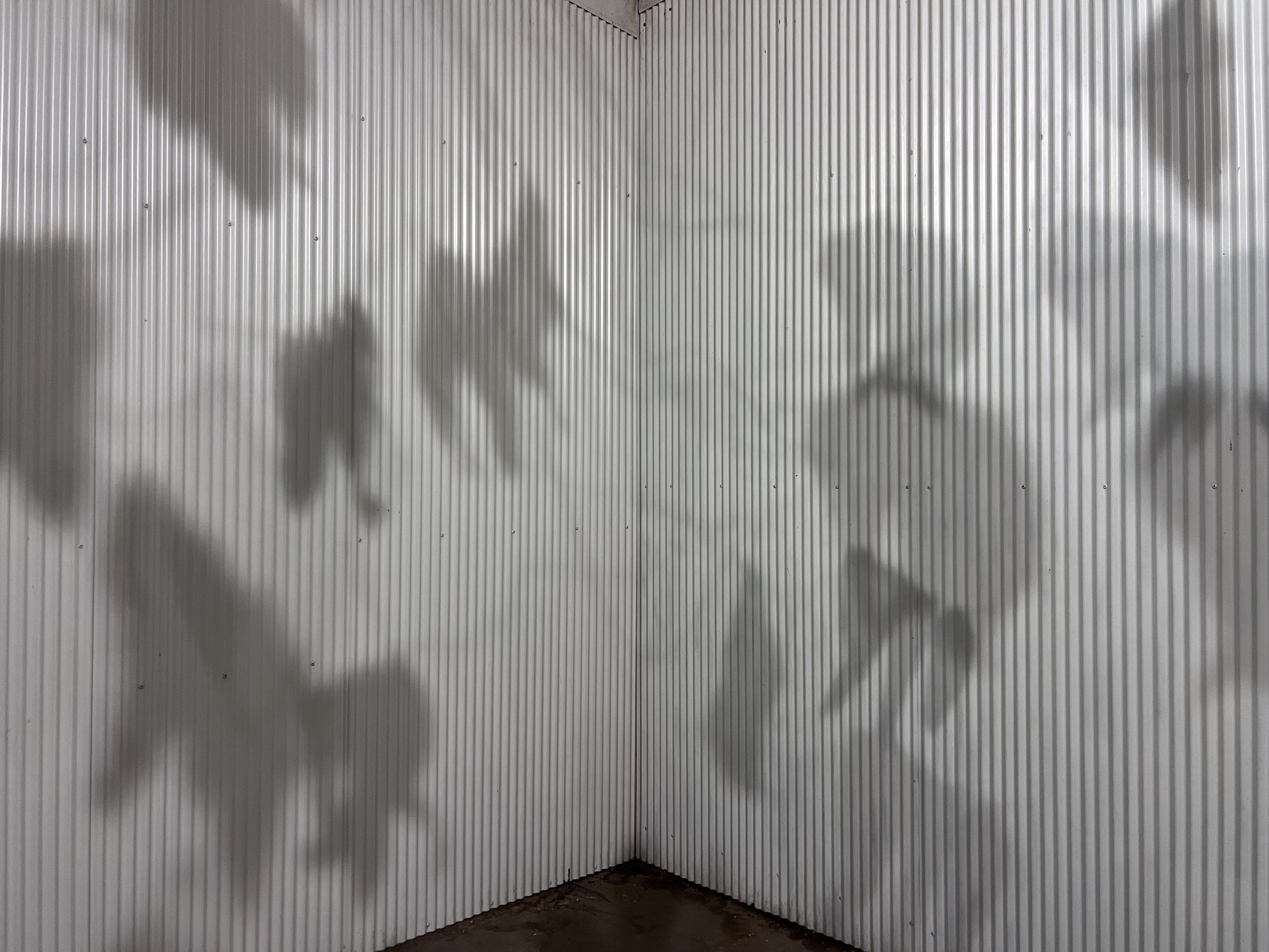 Ghost Gum (detail). 2025. Mixed media. 
Commissioned for the 2025/26 iteration of The WA Regional Arts Triennial. Image courtesy of the artist.