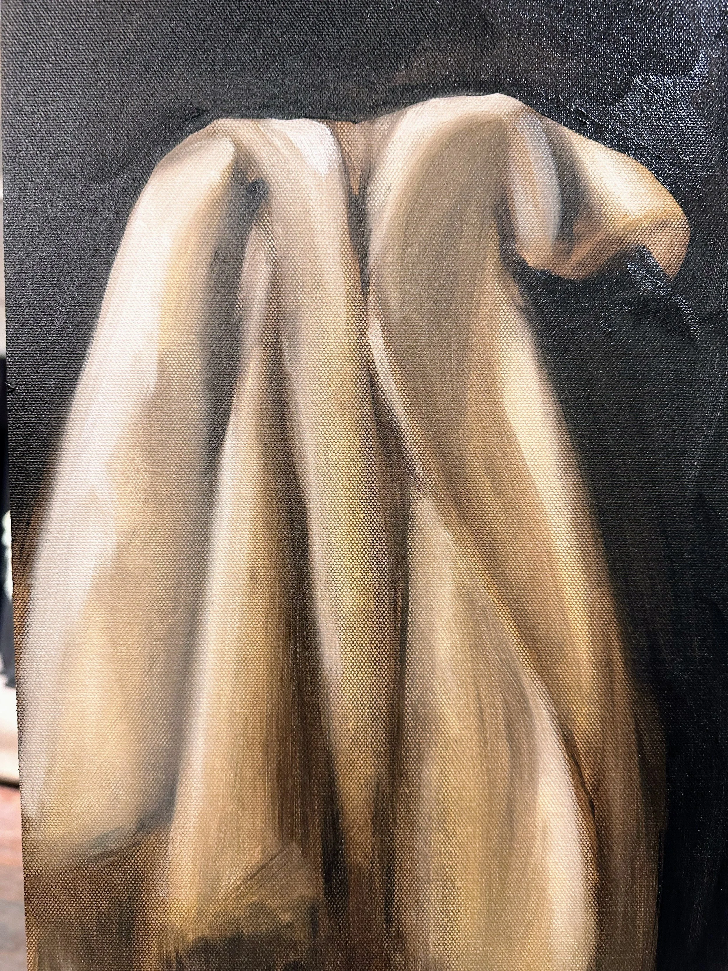 Oil Painting- Study of Drapey