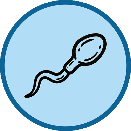 Icono de servicios de fertilidad masculina con el diseño de un espermatosoide