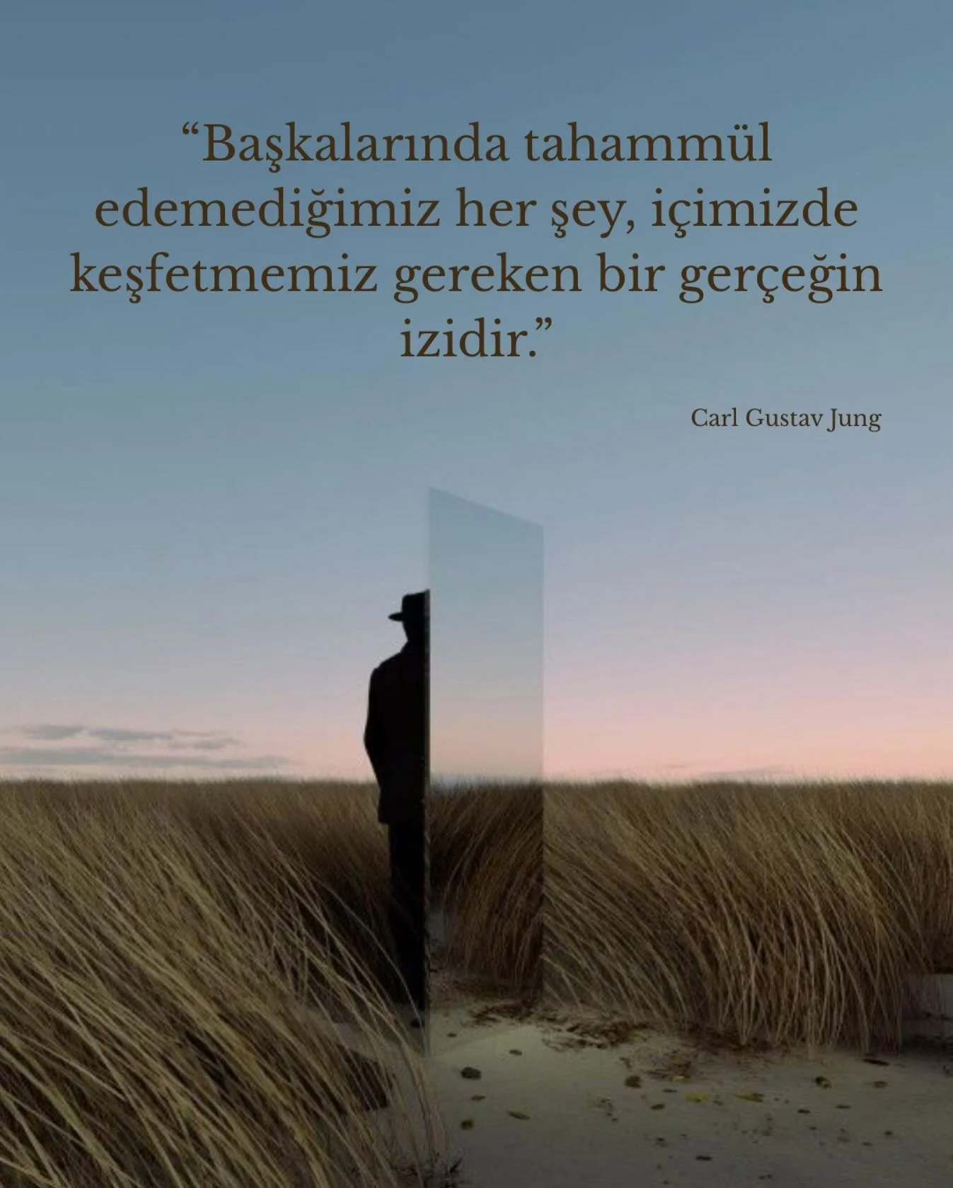 &ldquo;Yansıtma&rdquo; kavramı, dış d&uuml;nyada g&ouml;rd&uuml;ğ&uuml;m&uuml;z bir&ccedil;ok olumsuzluğun, aslında i&ccedil;sel bir par&ccedil;adan kaynaklandığını anlatır. İnsan, kendi i&ccedil;inde g&ouml;rmek istemediği tarafları &ccedil;oğu zama