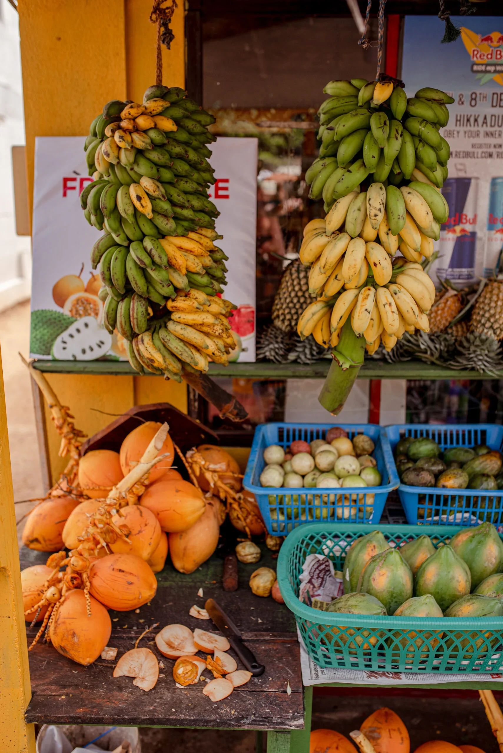 20191114-DSC_2550.webp