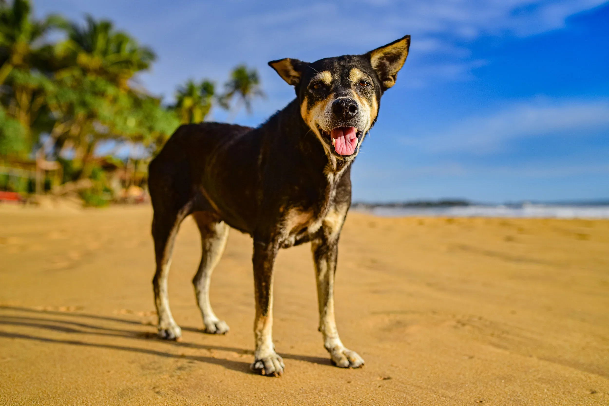 20191111-DSC_1555 (1).webp