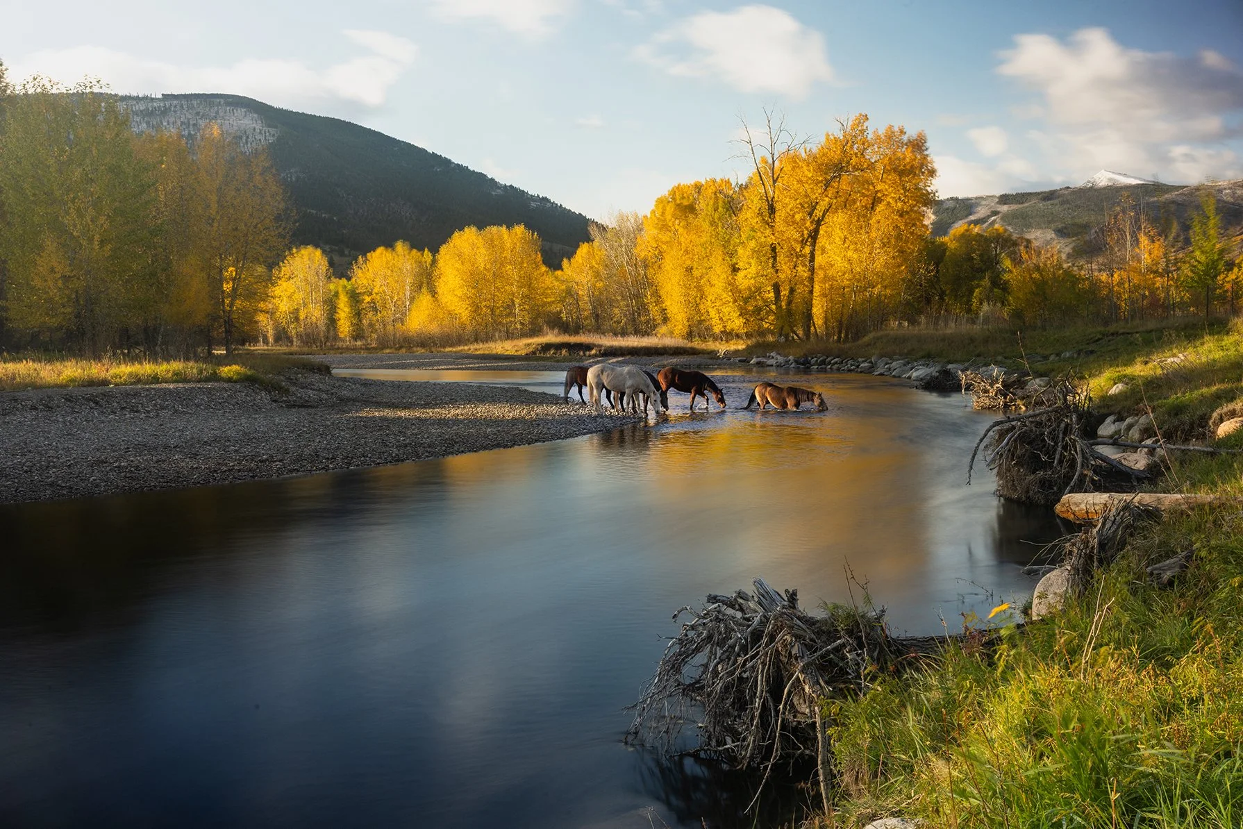 Frontier No. 5, 2025