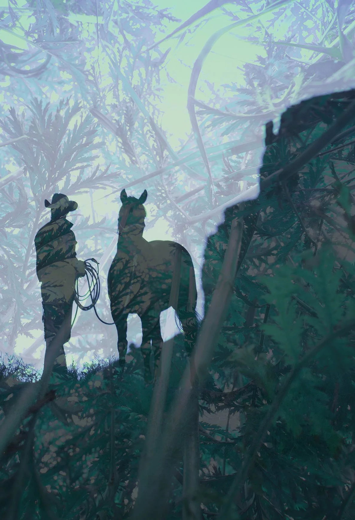 Under the Sun  No. 10, 2025
Archival pigment print
40 × 60 in., edition of 7
60 × 75 in., edition of 3
Signed and editioned on artist label
