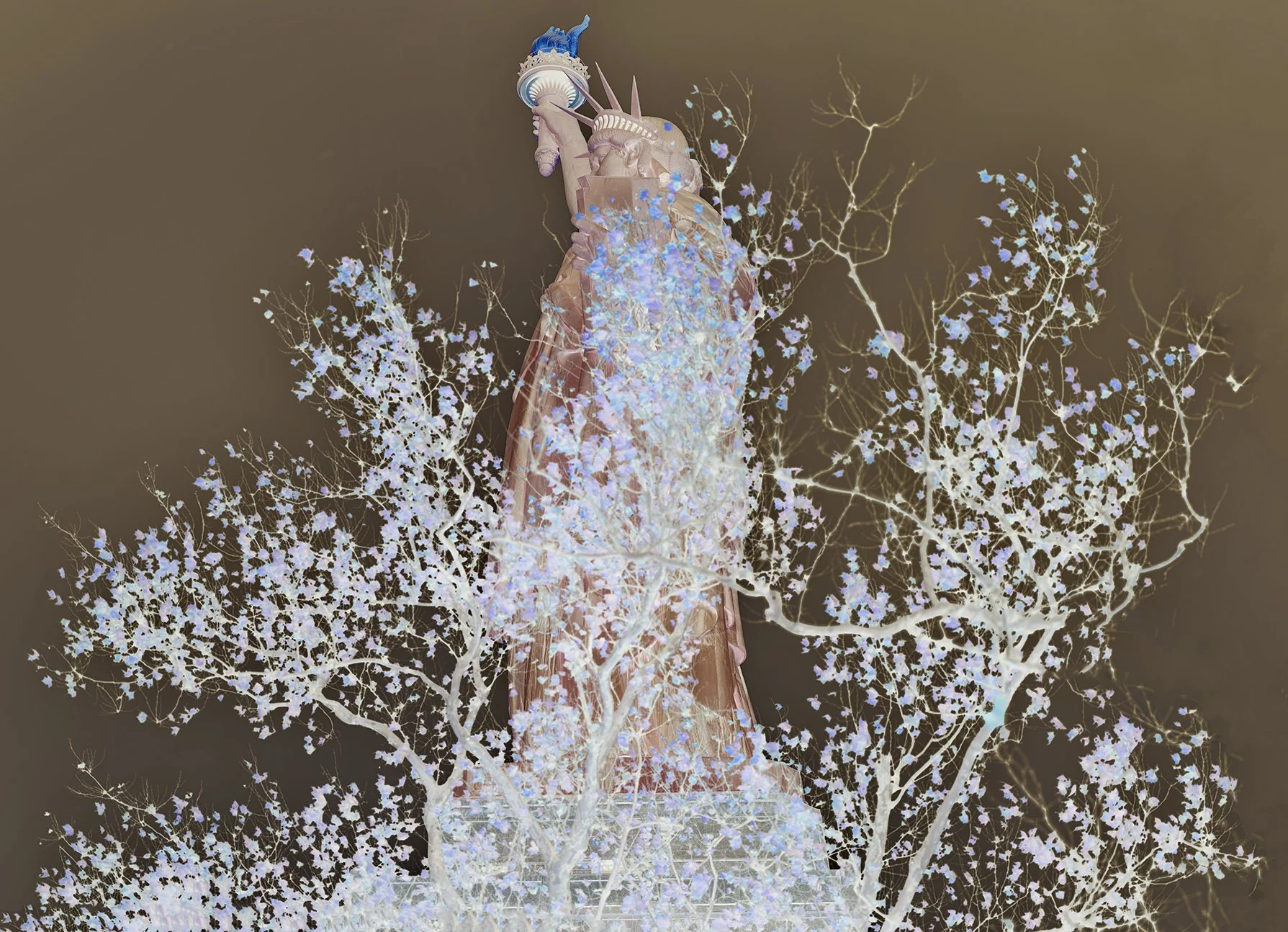 CF019094-5-6 C copy 2.jpg