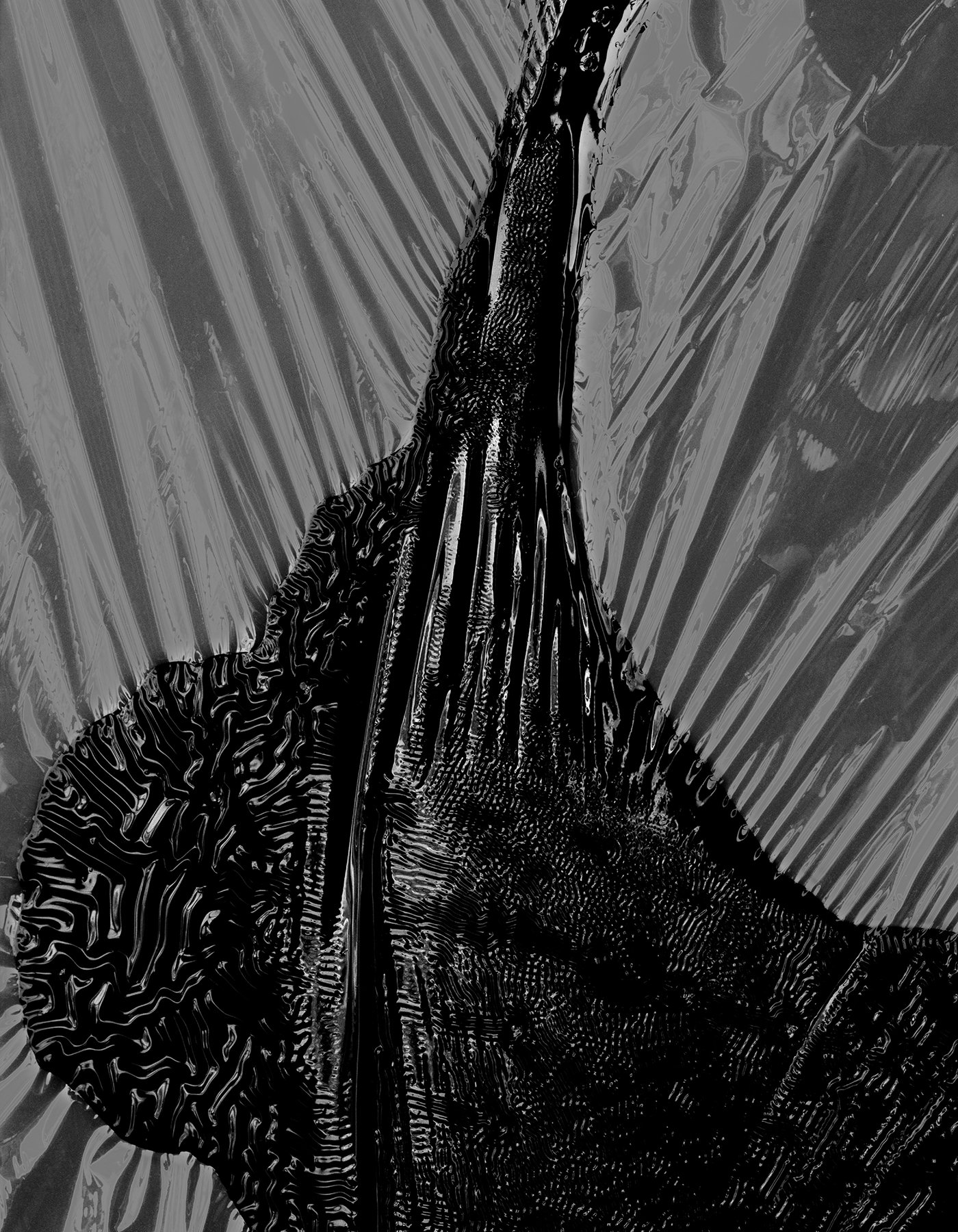 04-222-2 Fotoj Port.jpg