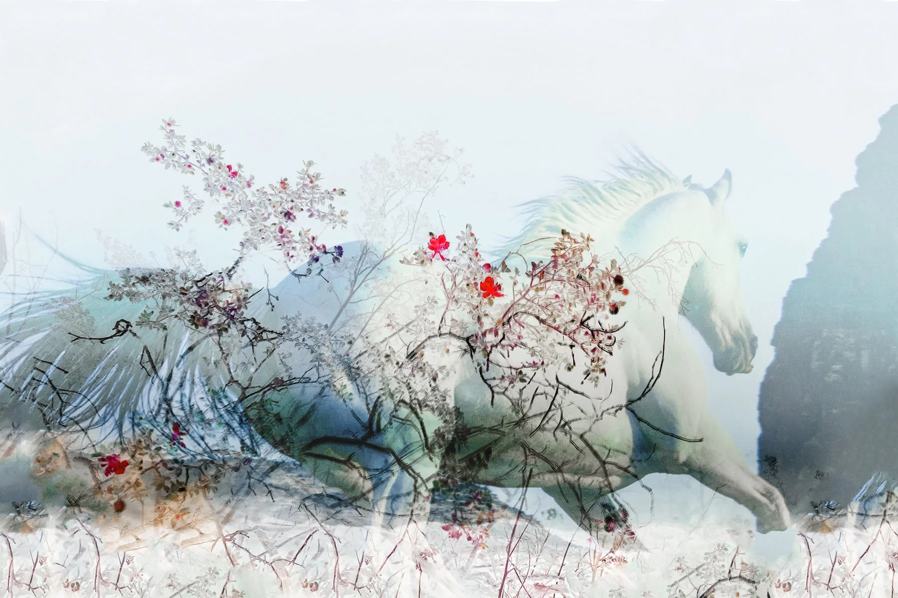 FRONTIER X No. 16, 2022
Archival pigment print
22 x 17 inches, Edition of 5 
60 x 40 inches, Edition of 5
