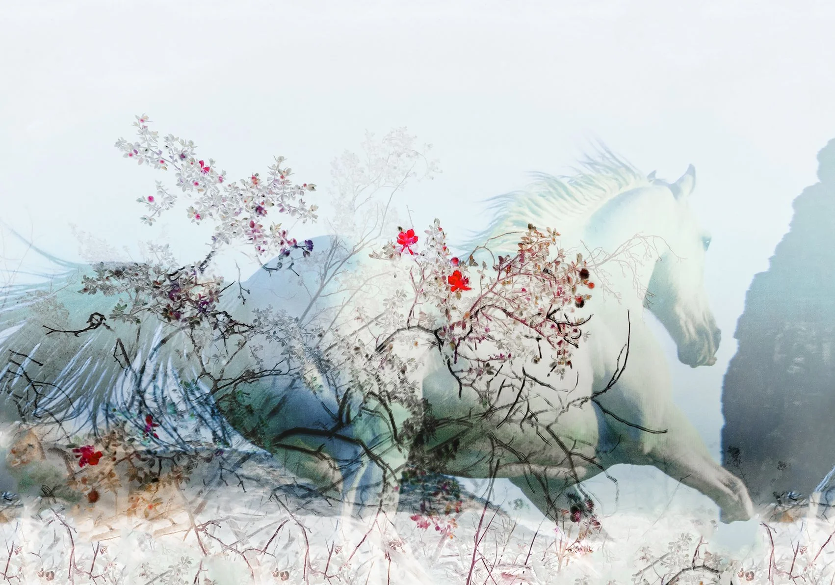 Under the Sun  No. 14, 2024
Archival pigment print
40 × 60 in., edition of 7
60 × 75 in., edition of 3
Signed and editioned on artist label
