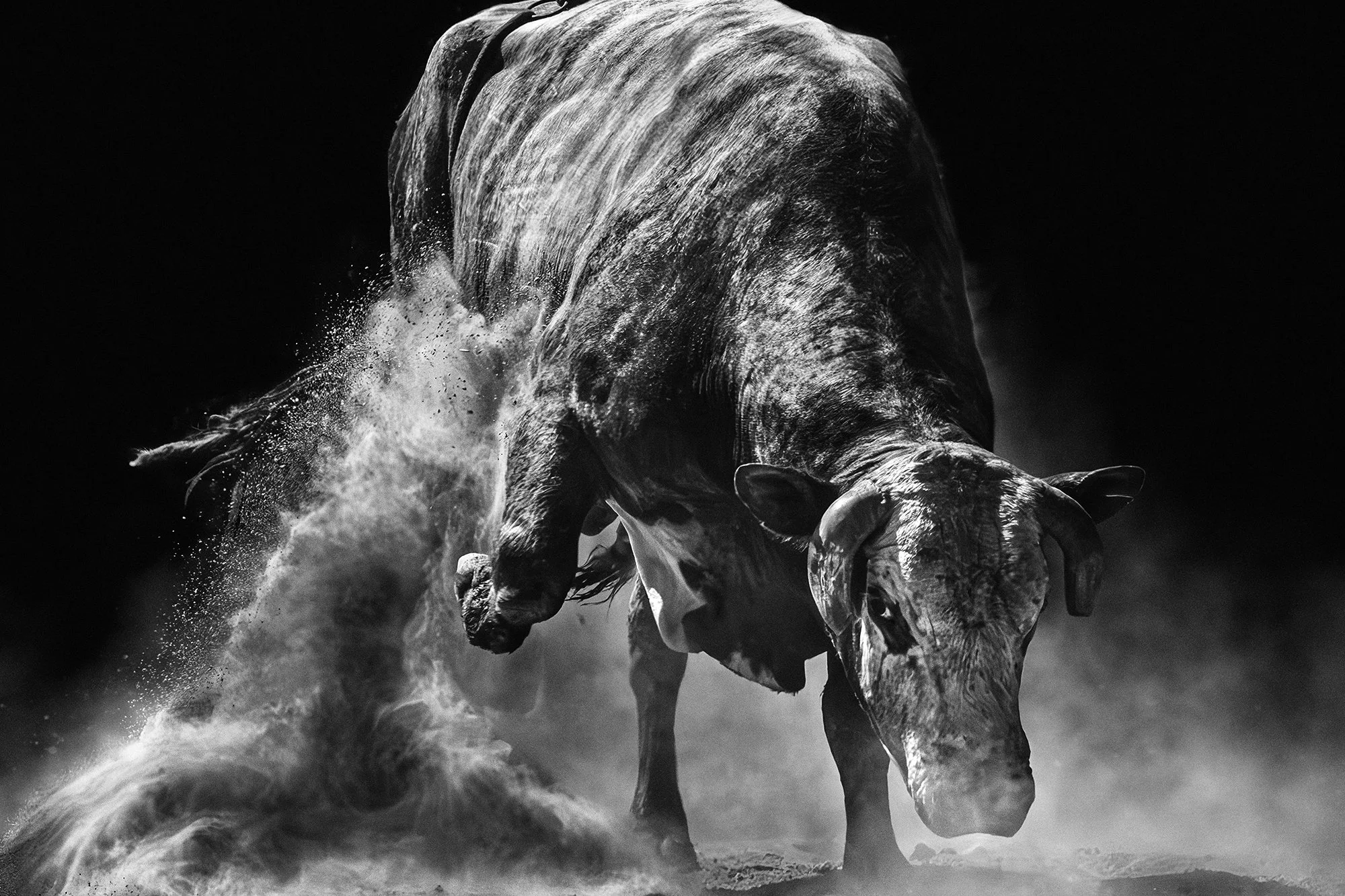 Rodeo No. 7, 2015
Archival pigment print
17 × 22 in., edition of 5
40 × 60 in., edition of 7
Signed and editioned on artist label