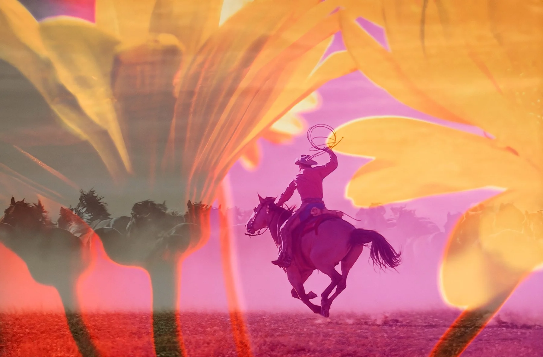 Under the Sun No. 5, 2026
Archival pigment print 
17x22 inch, Edition of 5
40x60 inch, Edition of 7