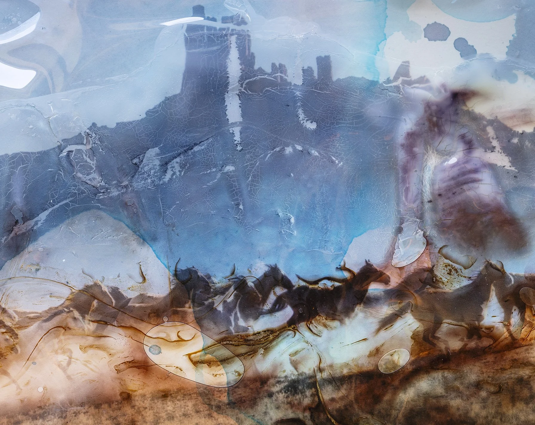 CF019974 CU horiz v2.jpg