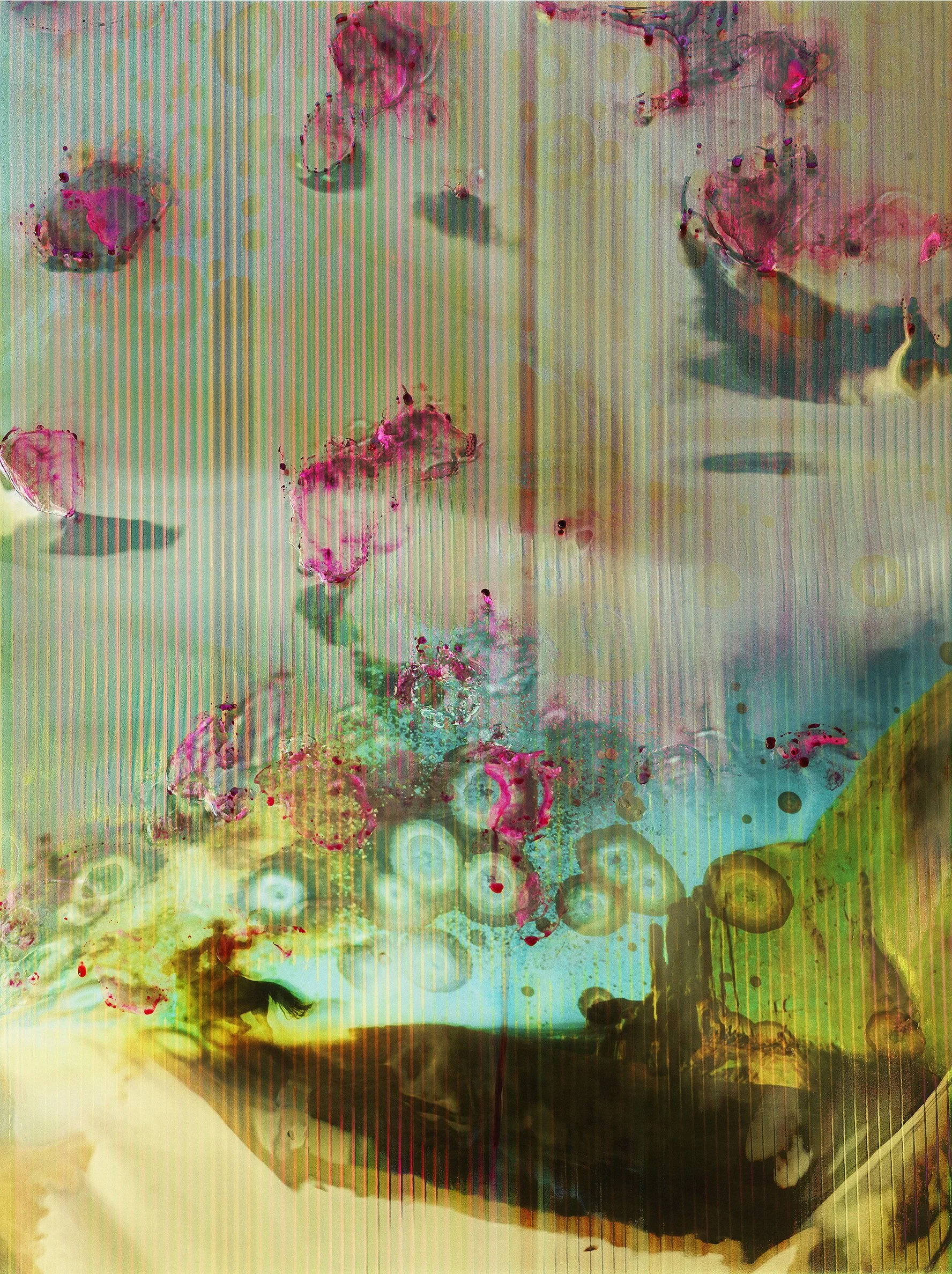 CF020111 Screen v2 flat-topaz-denoise Cuttlefish FINAL.jpg