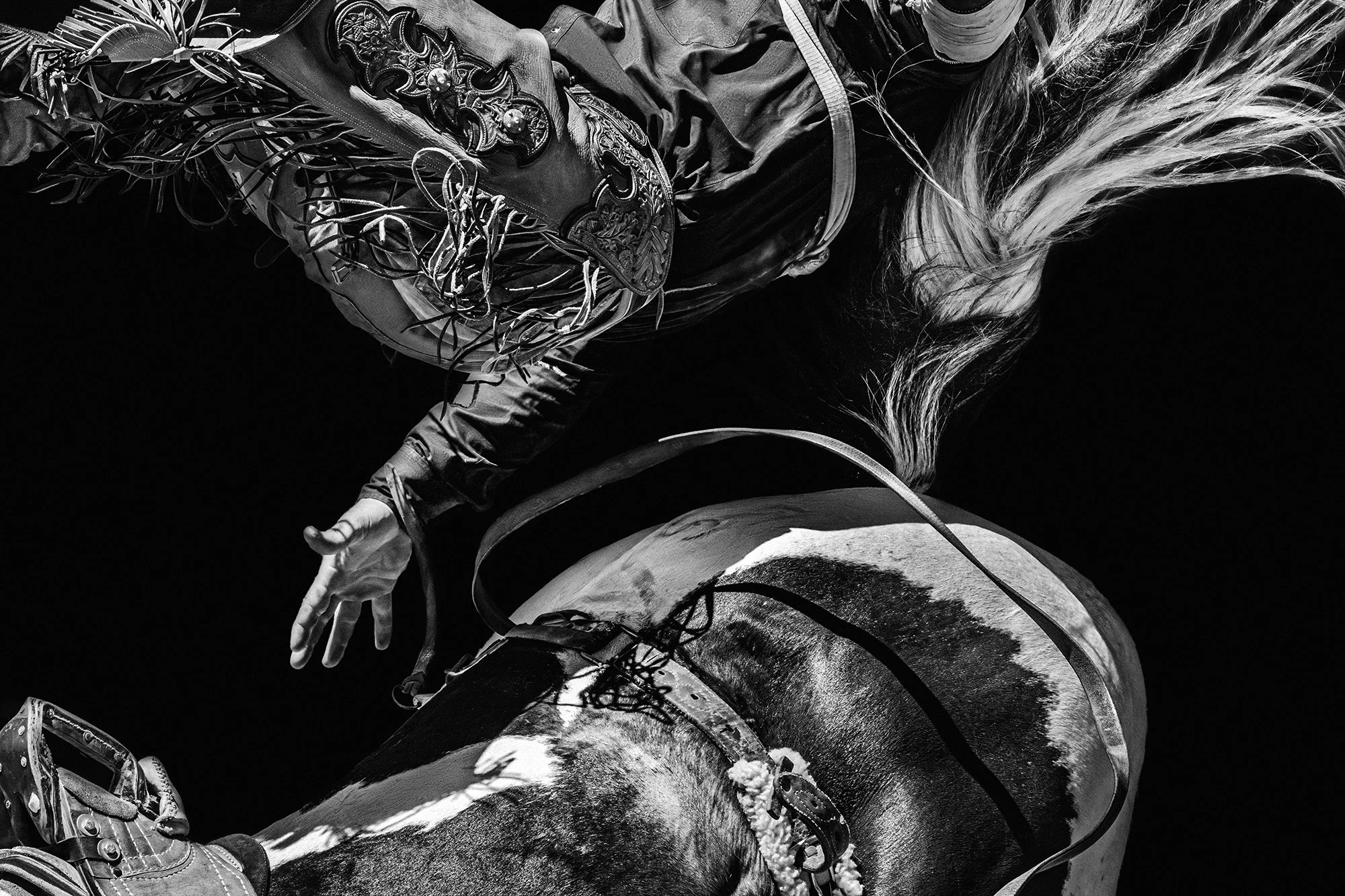 Rodeo No. 3, 2015
Archival pigment print
17 × 22 in., edition of 5
40 × 60 in., edition of 7
Signed and editioned on artist label