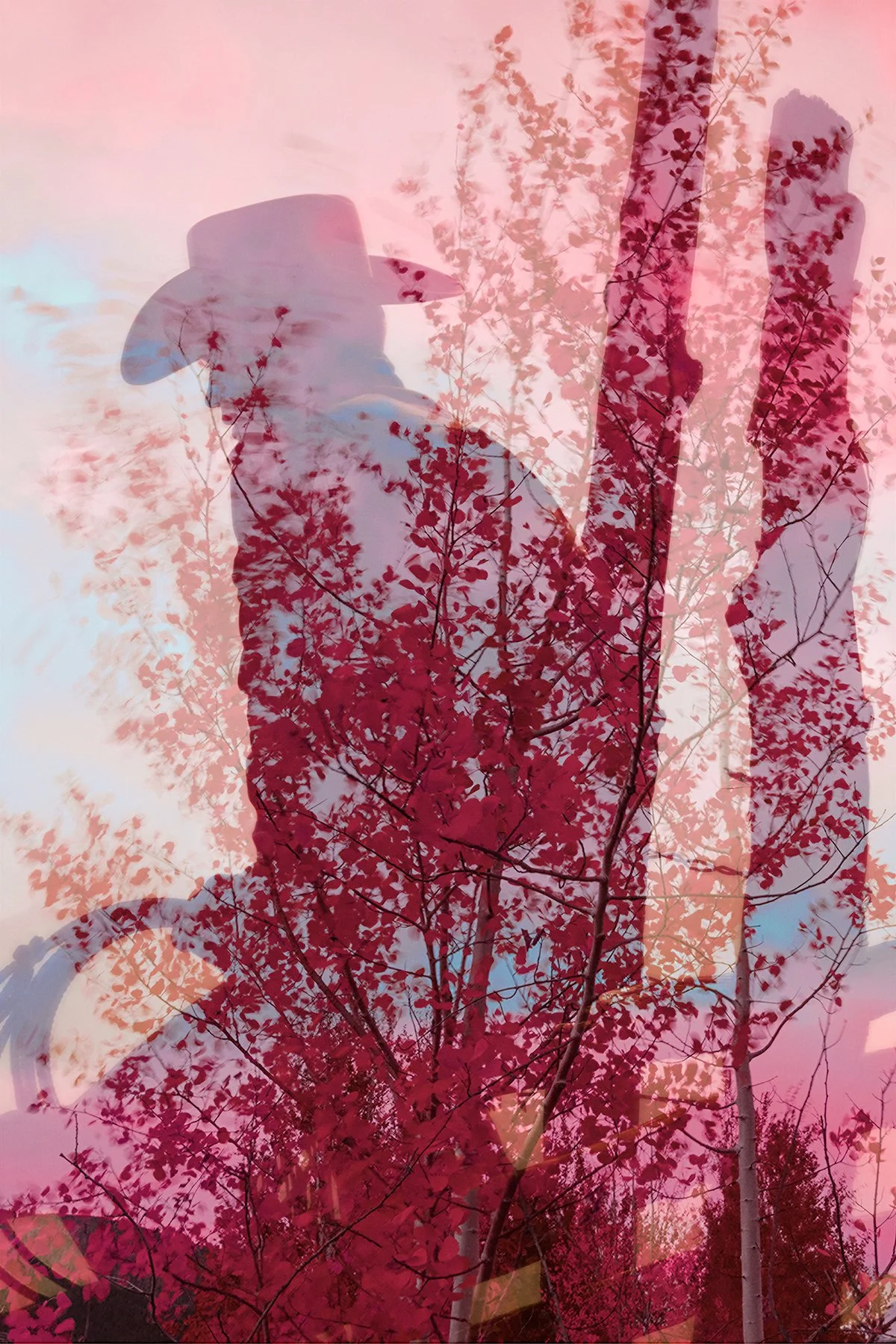 Under the Sun No. 15, 2026
Archival pigment print 
17x22 inch, Edition of 5
40x60 inch, Edition of 7