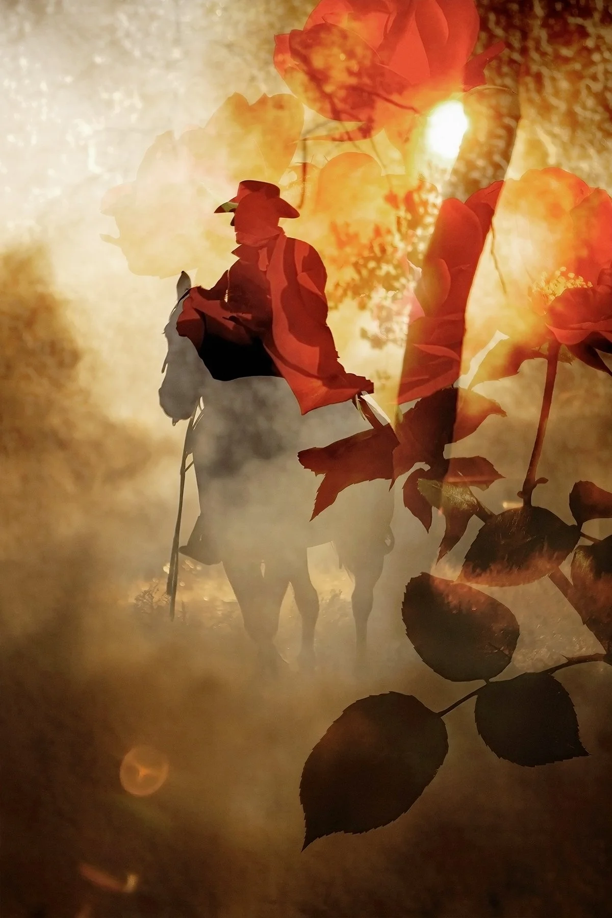 Under the Sun No. 16, 2026
Archival pigment print 
17x22 inch, Edition of 5
40x60 inch, Edition of 7