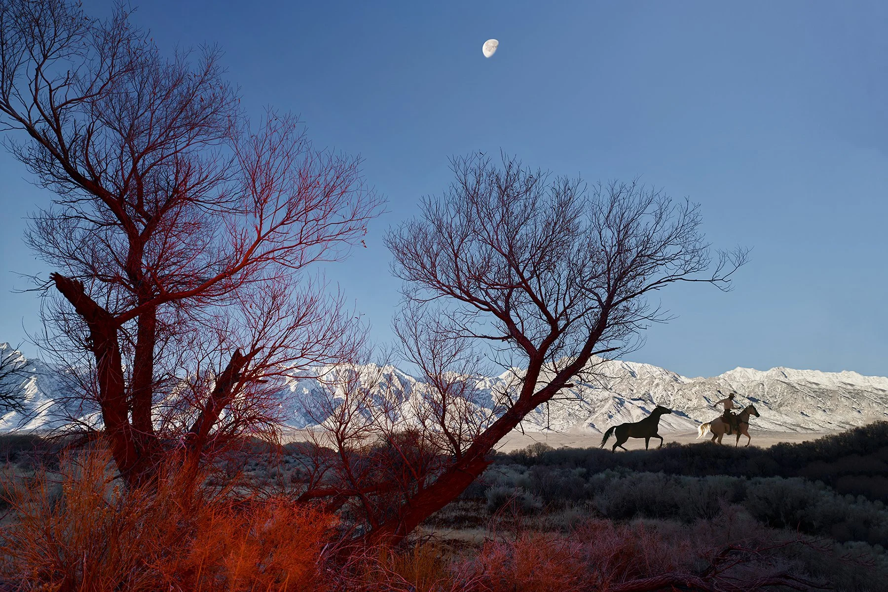 Frontier No. 9, 2023, archival pigment print; 40 × 60 in. (ed. 7) and 60 × 75 in. (ed. 3). Signed and editioned on artist label.