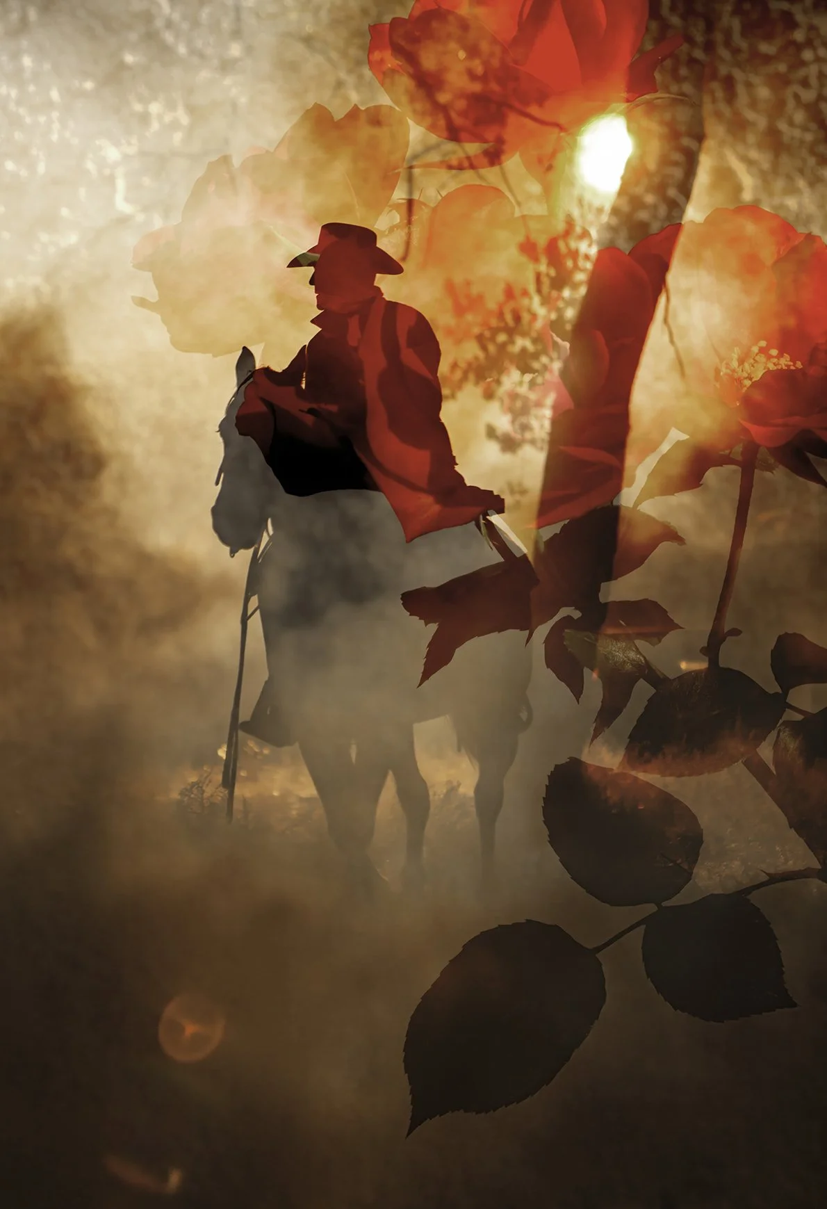 Under the Sun  No. 5, 2024
Archival pigment print
40 × 60 in., edition of 7
60 × 75 in., edition of 3
Signed and editioned on artist label
