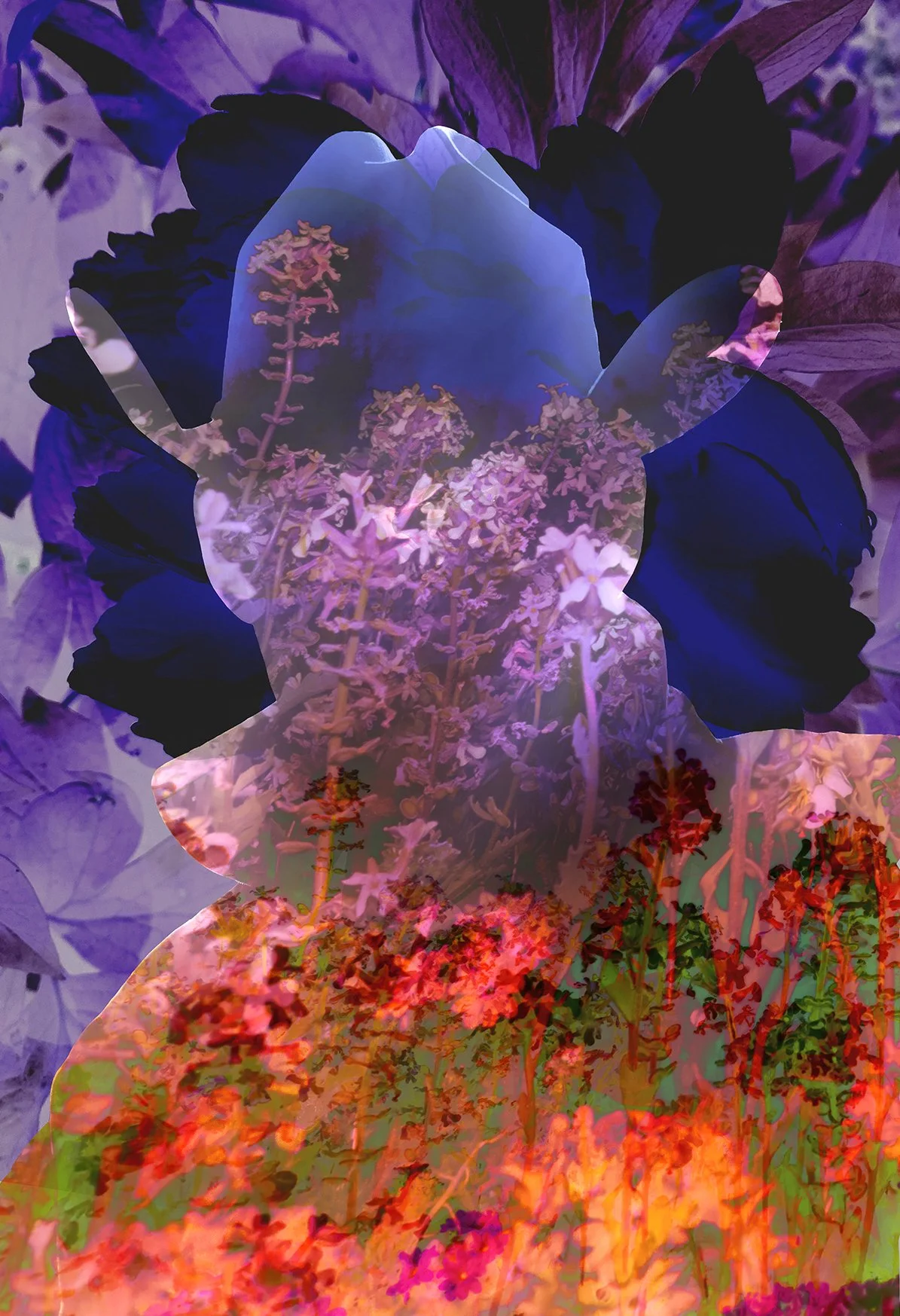 Under the Sun  No.7, 2024
Archival pigment print
40 × 60 in., edition of 7
60 × 75 in., edition of 3
Signed and editioned on artist label
