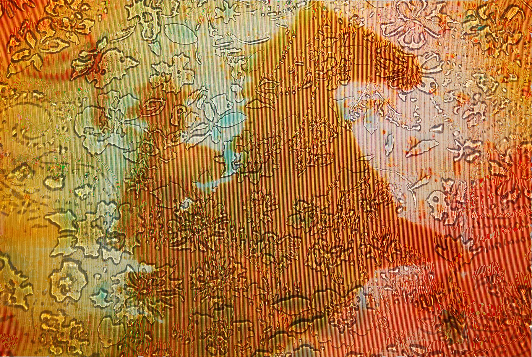 CF013814 borderless.jpg