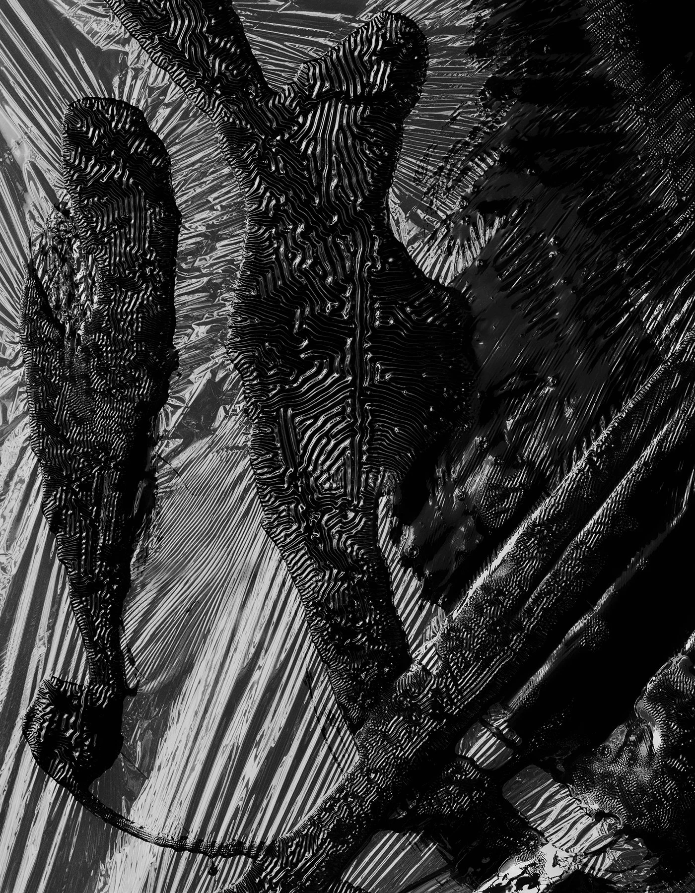 04-223-4 Fotoj Port.jpg