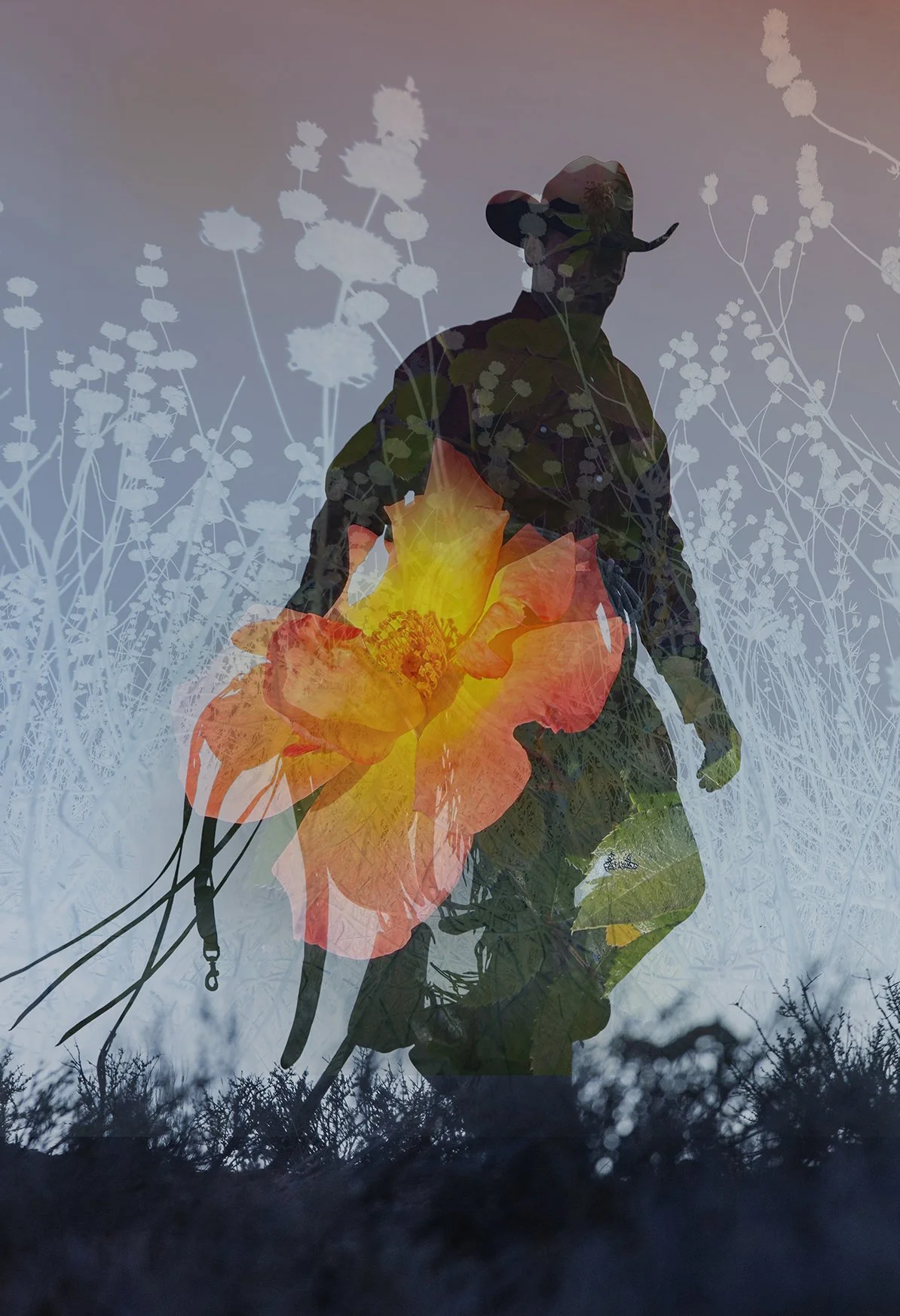 Under the Sun  No. 8, 2024
Archival pigment print
40 × 60 in., edition of 7
60 × 75 in., edition of 3
Signed and editioned on artist label
