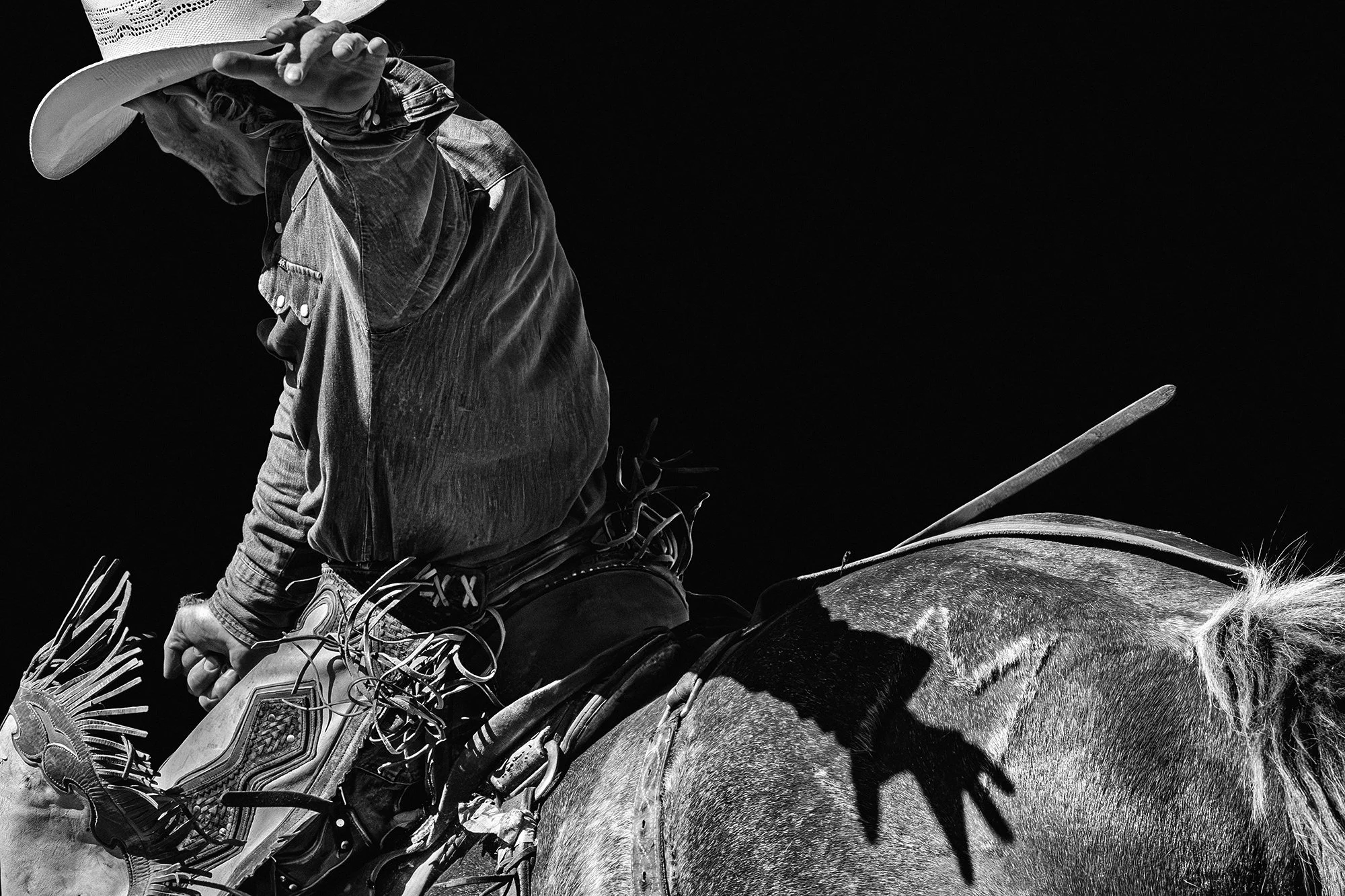 Rodeo No. 5, 2015
Archival pigment print
17 × 22 in., edition of 5
40 × 60 in., edition of 7
Signed and editioned on artist label