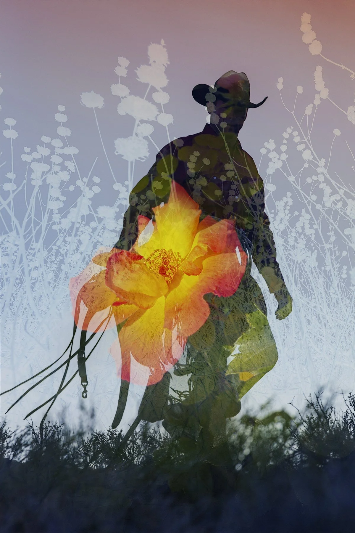 Under the Sun No. 10, 2026
Archival pigment print 
17x22 inch, Edition of 5
40x60 inch, Edition of 7